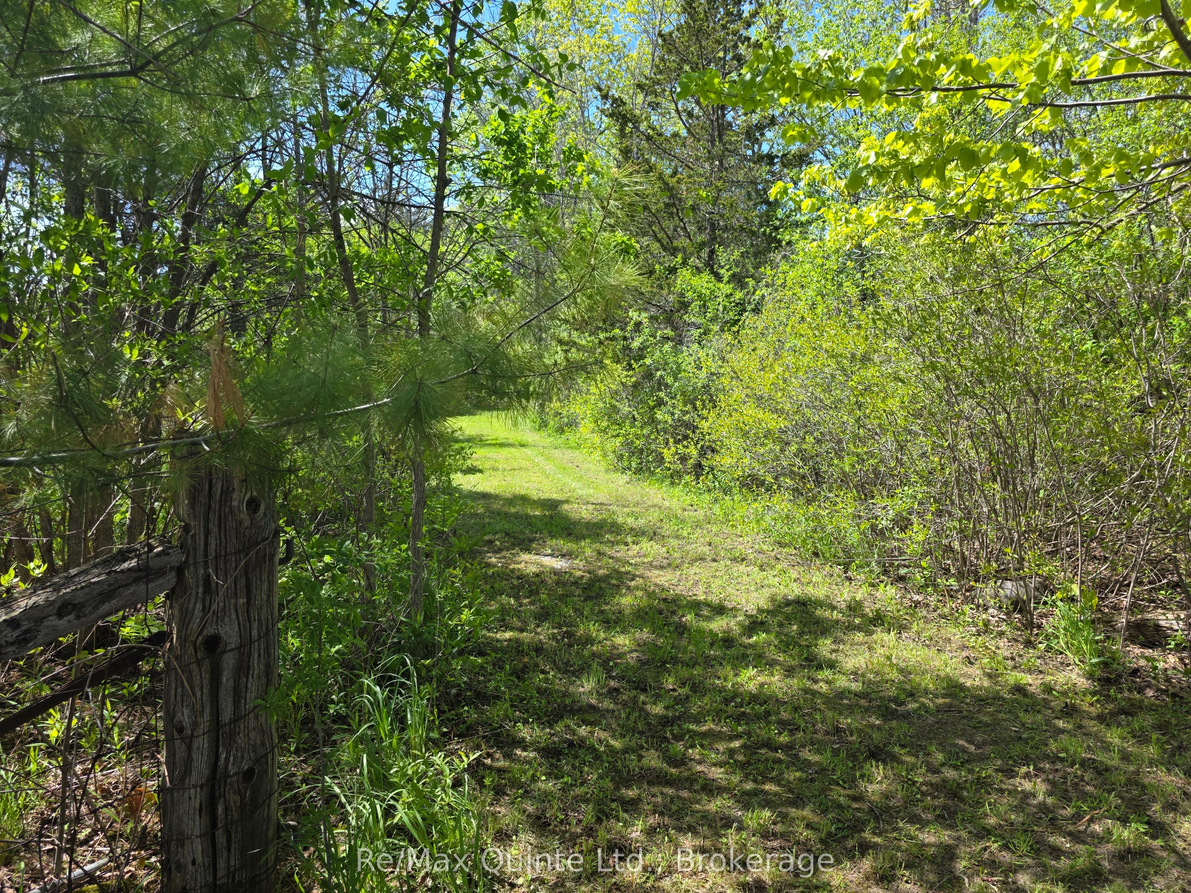 Across From 3904 Cty Rd 49, Prince Edward County, ON K0K 2T0 photo 5