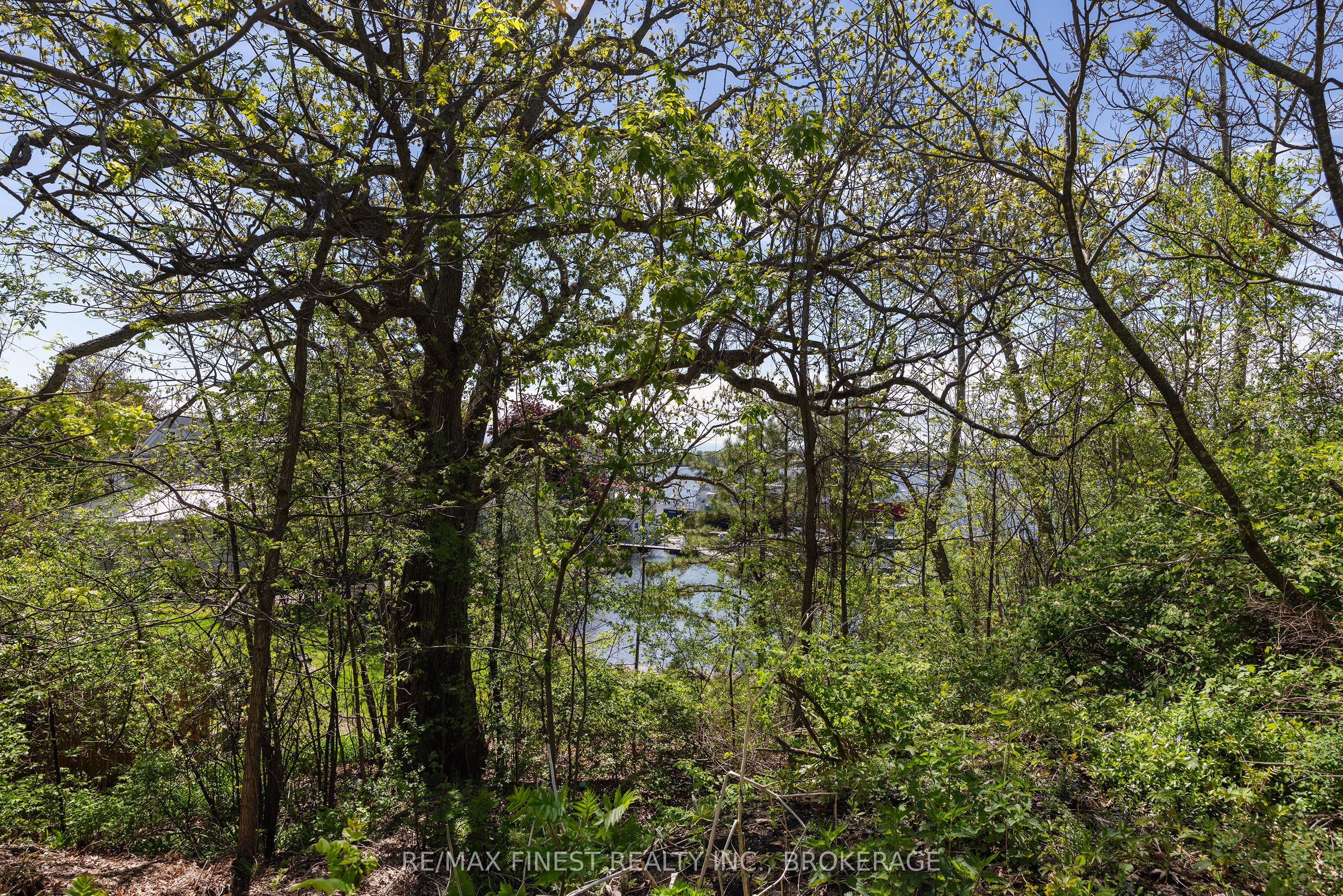 11 FRONT Street, Leeds and the Thousand Islands, ON K0E 1V0 photo 5