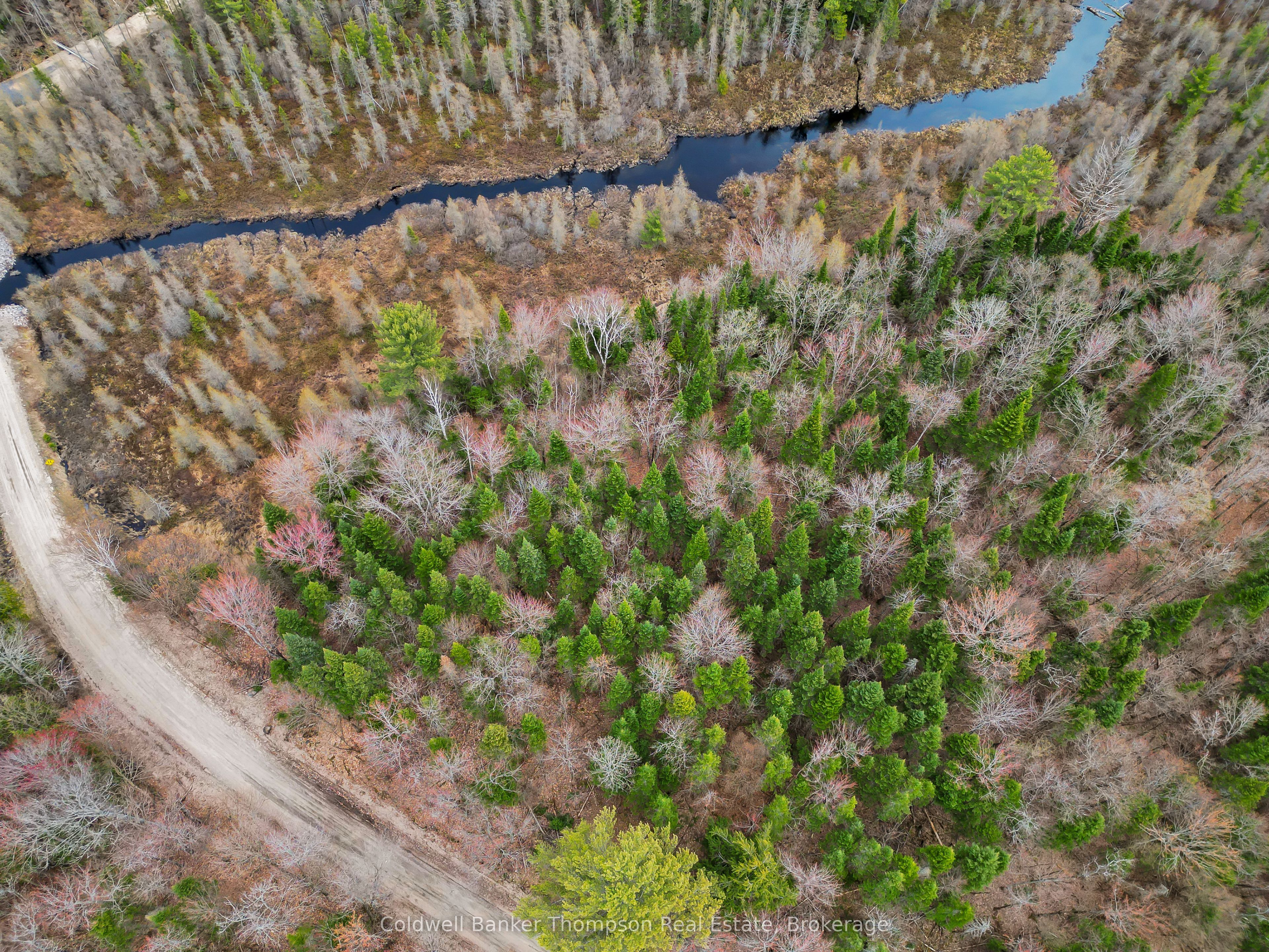 Part 3 AXE LAKE Road, McMurrich/Monteith, ON P0A 1Y0 photo 4
