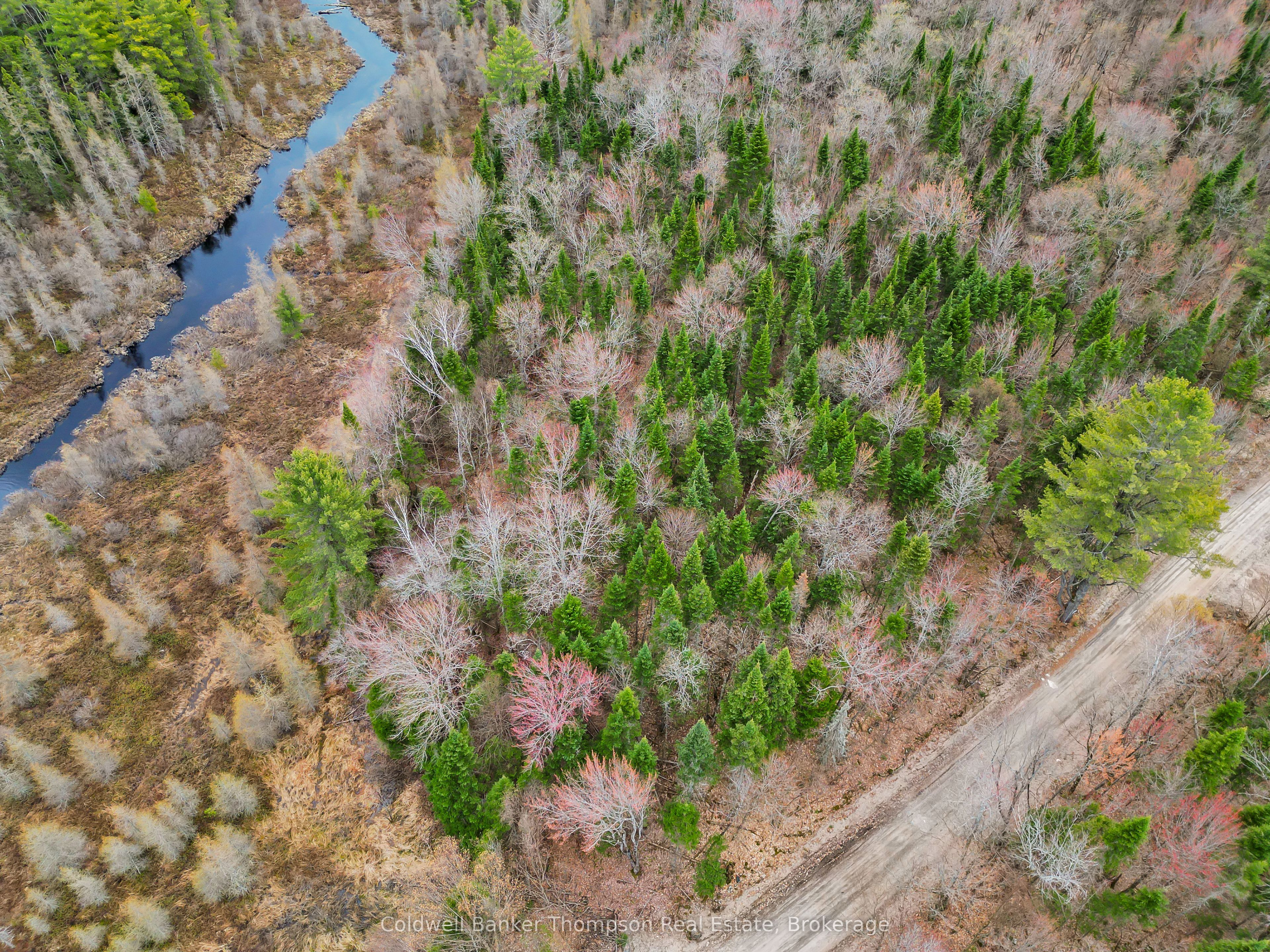 Part 3 AXE LAKE Road, McMurrich/Monteith, ON P0A 1Y0 photo 5