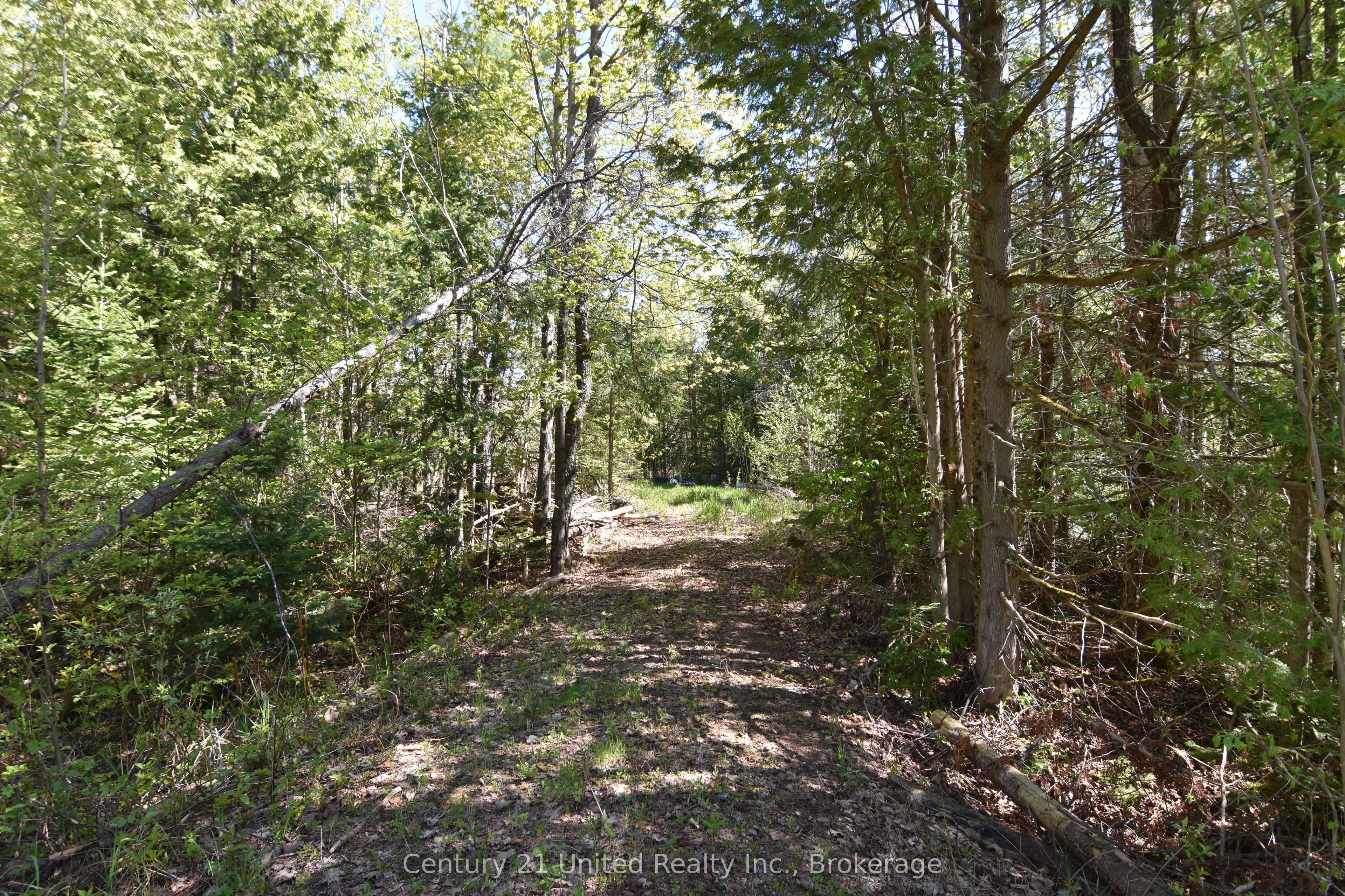 2682 N Steenburg Lake Road, Wollaston, ON K0L 1P0 photo 2