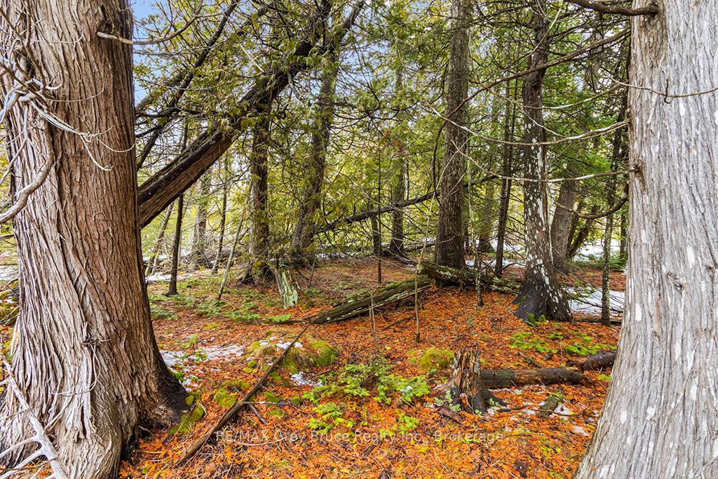 LOT 43 Warner Bay Road, Northern Bruce Peninsula, ON N0H 2R0 photo 4