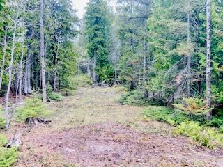 LOT 43 Warner Bay Road, Northern Bruce Peninsula, ON N0H 2R0 photo 5