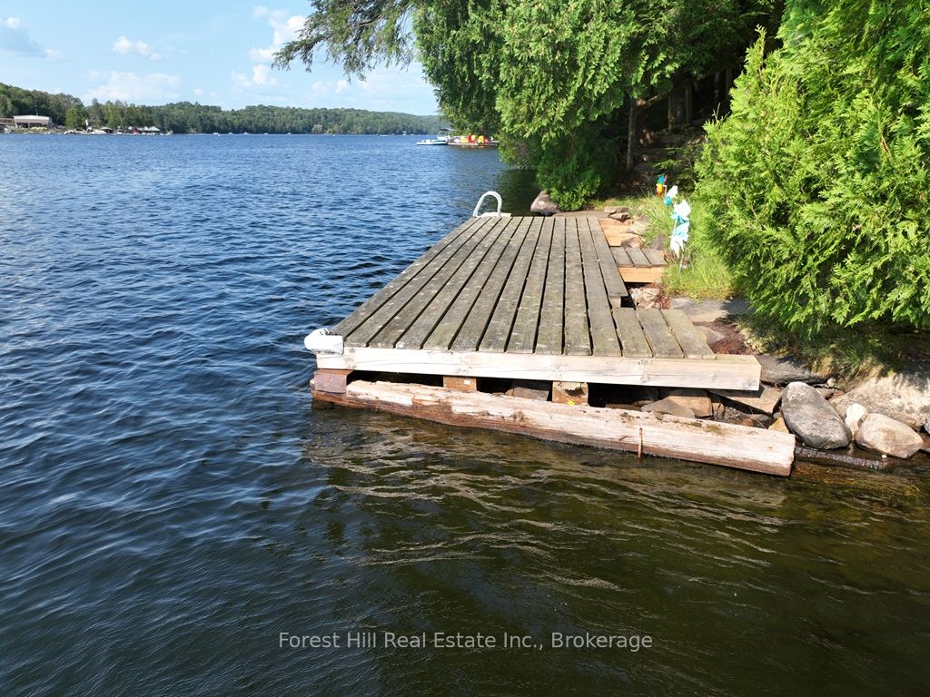 30945 KAWAGAMA Lake WAO N/A, Algonquin Highlands, ON P0A 1E0 photo 2