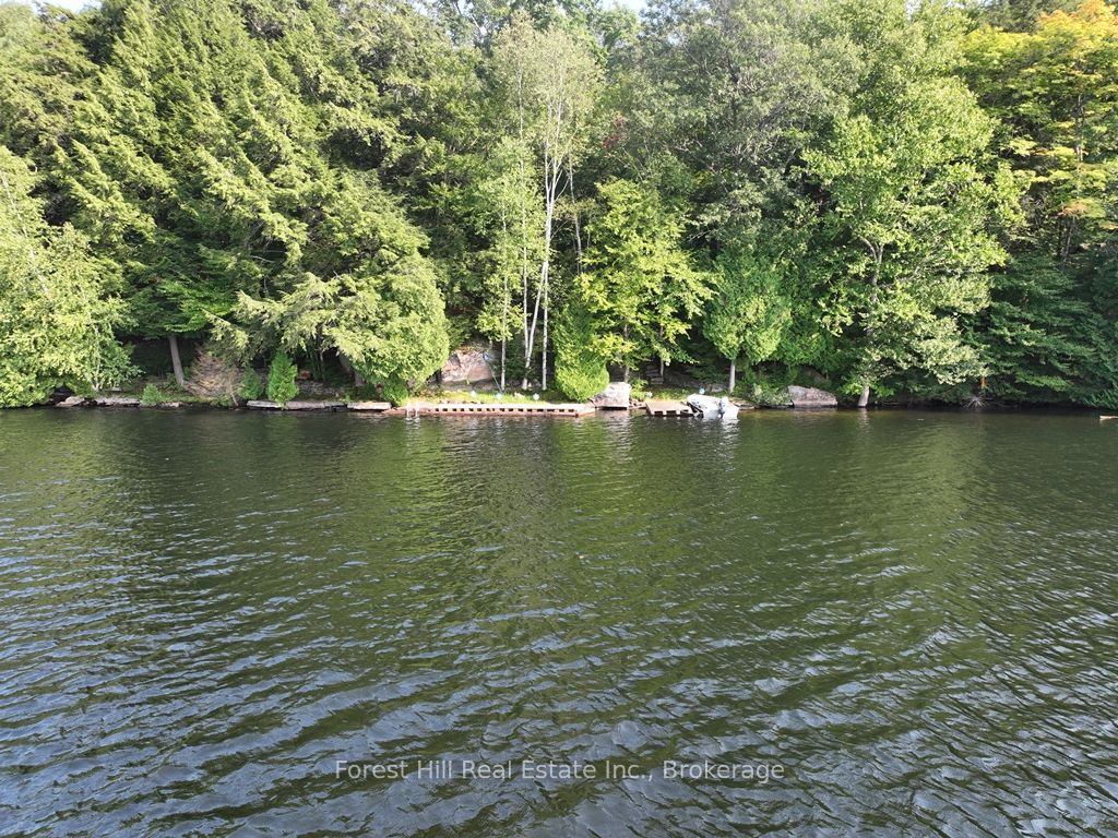 30945 KAWAGAMA Lake WAO N/A, Algonquin Highlands, ON P0A 1E0 photo 4