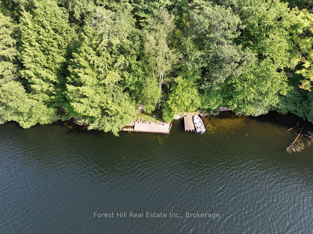 30945 KAWAGAMA Lake WAO N/A, Algonquin Highlands, ON P0A 1E0 photo 5
