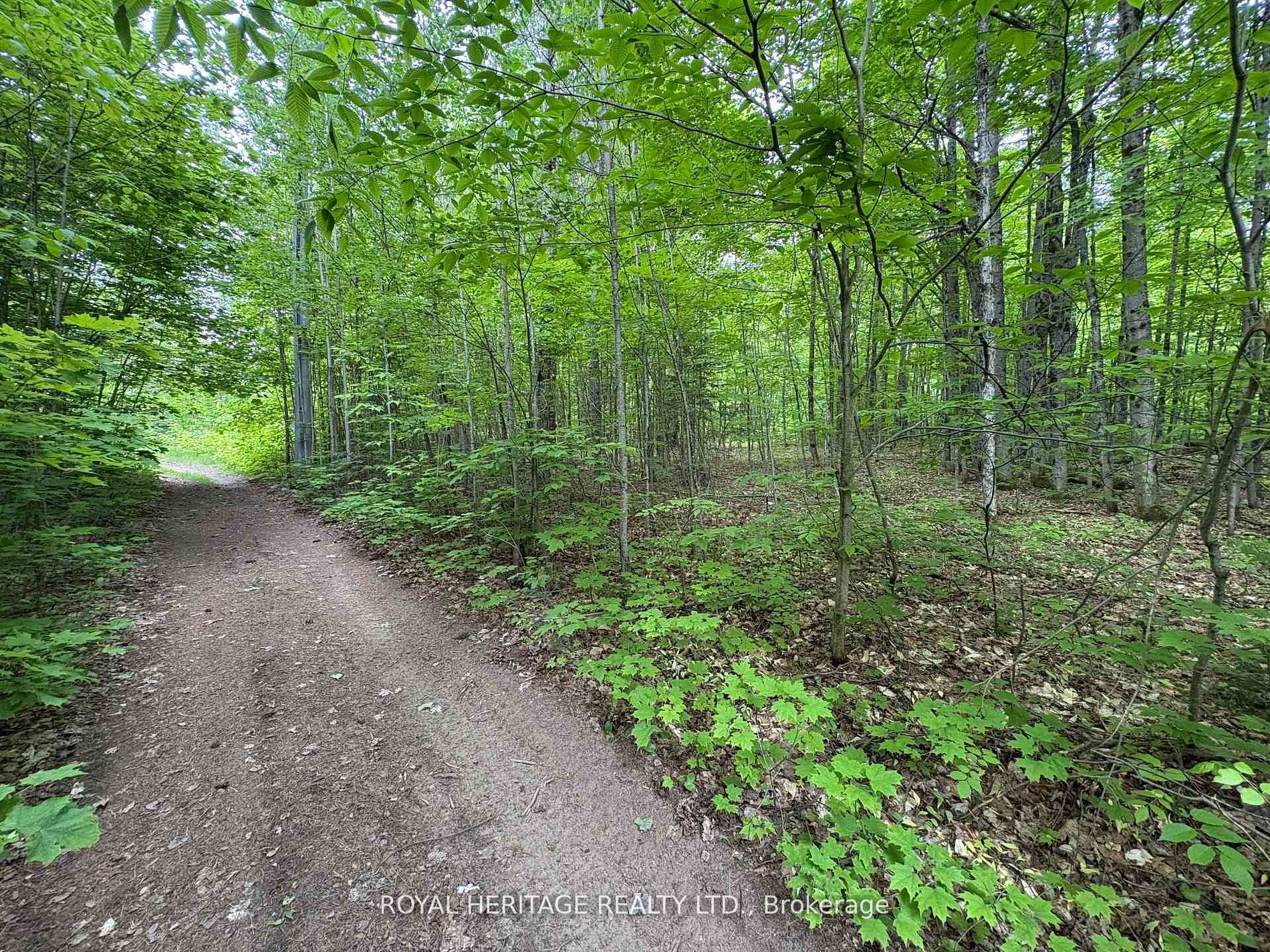 1043 Lawrence Pit Road, Muskoka Lakes, ON P0B 1M0