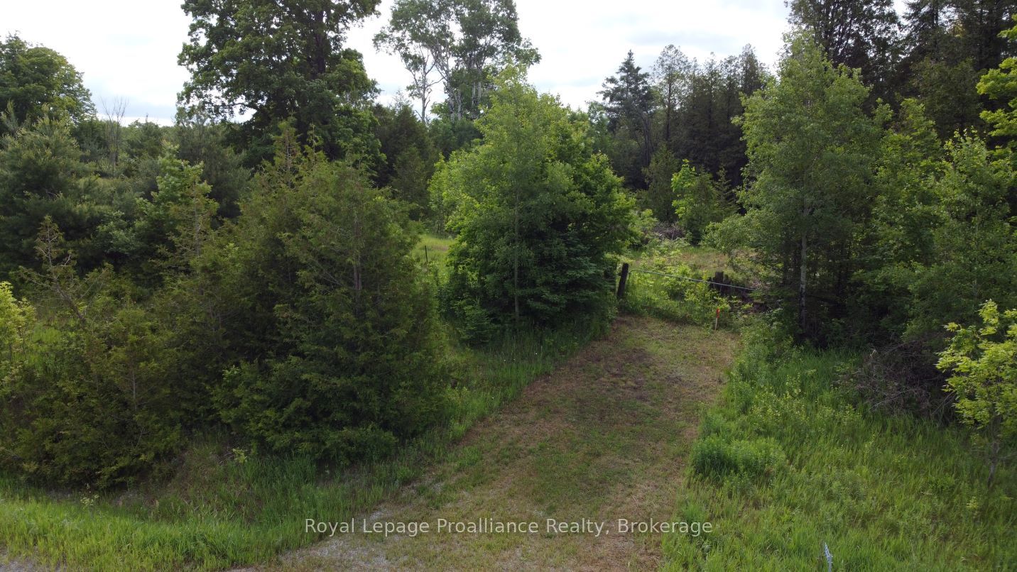 5966 HWY 506 Road, Frontenac, ON K0K 1C0 photo 3