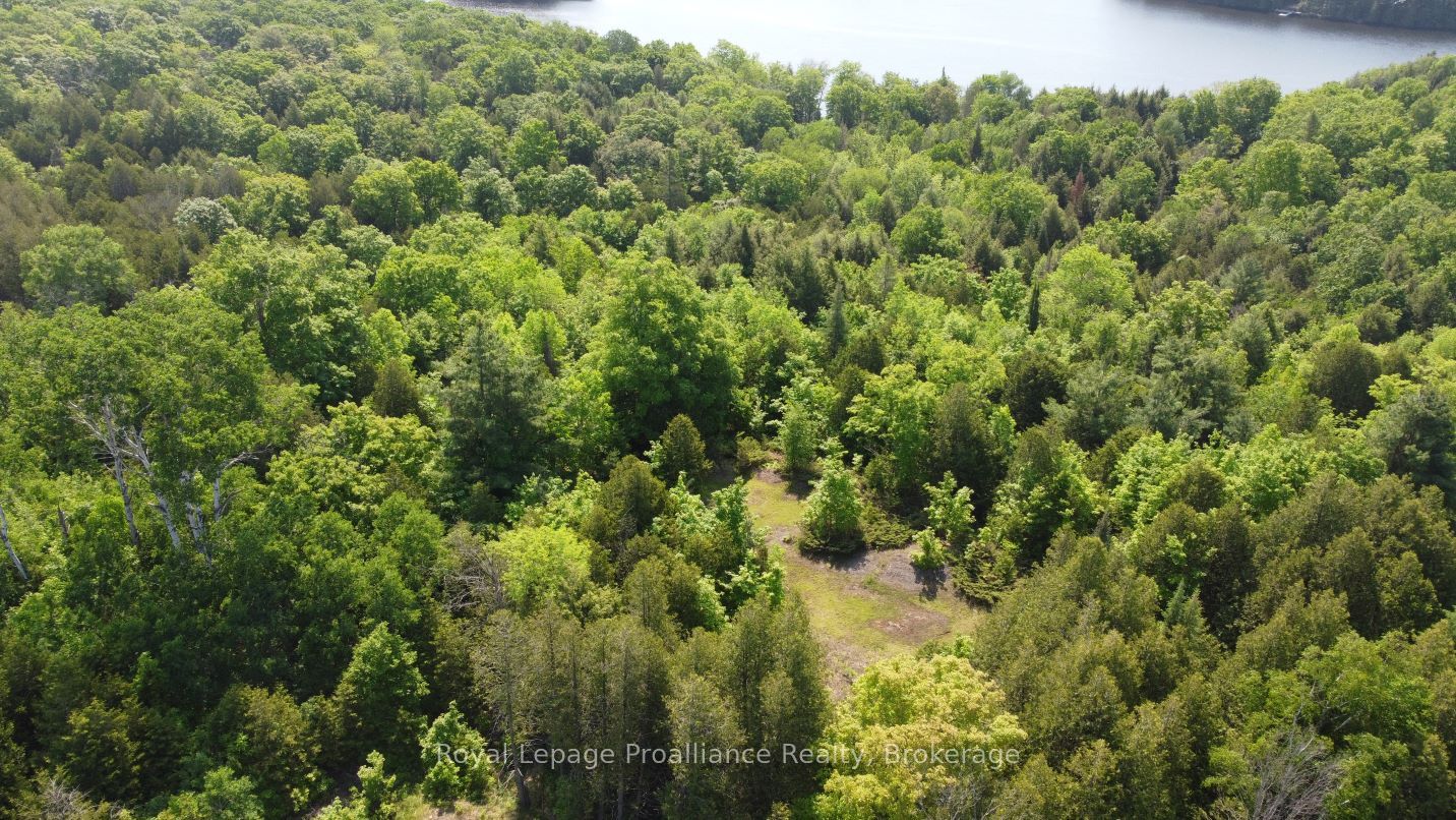 5966 HWY 506 Road, Frontenac, ON K0K 1C0 photo 4