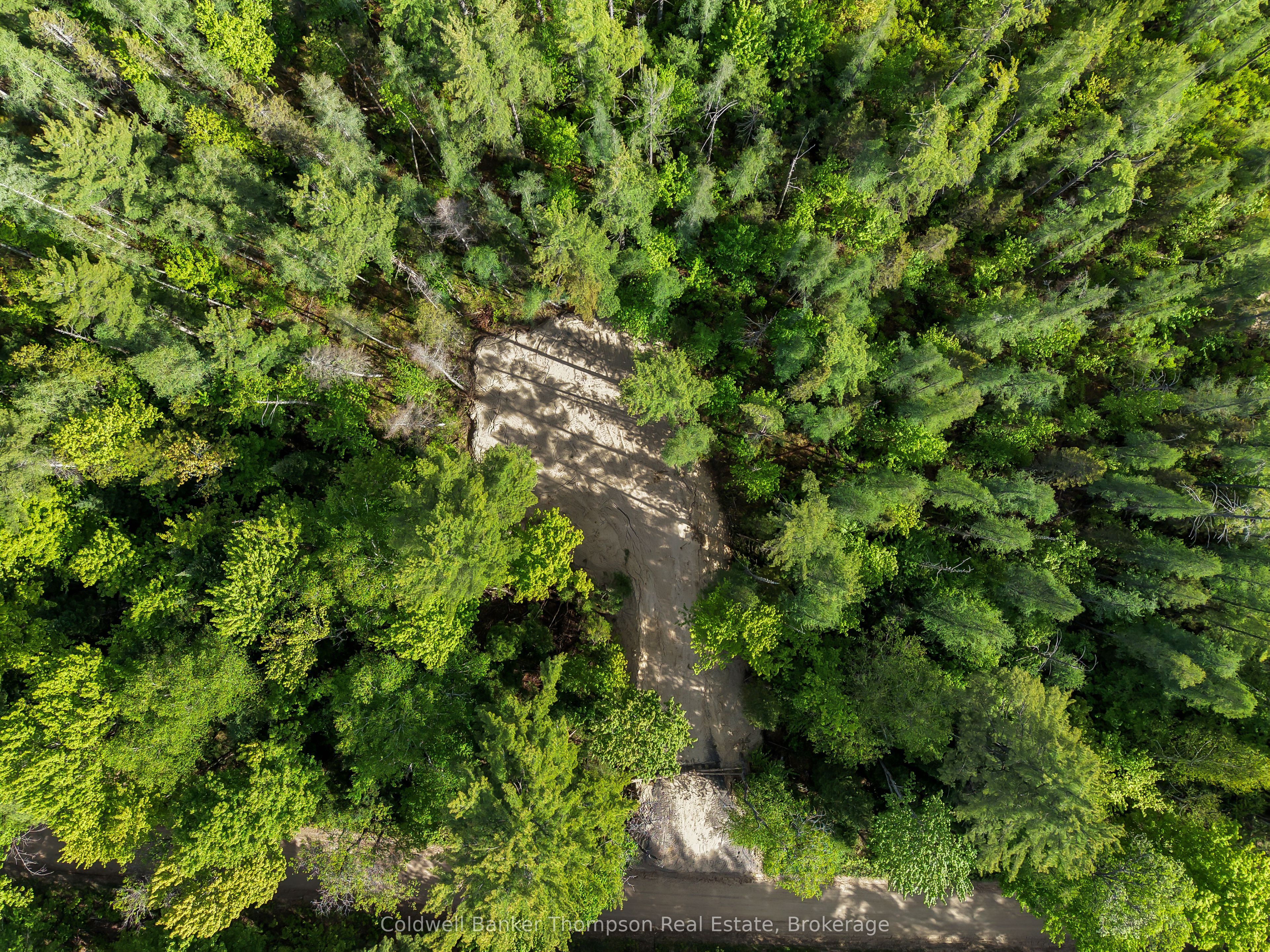 PART 6 AXE LAKE Road, McMurrich/Monteith, ON P0A 1Y0 photo 4