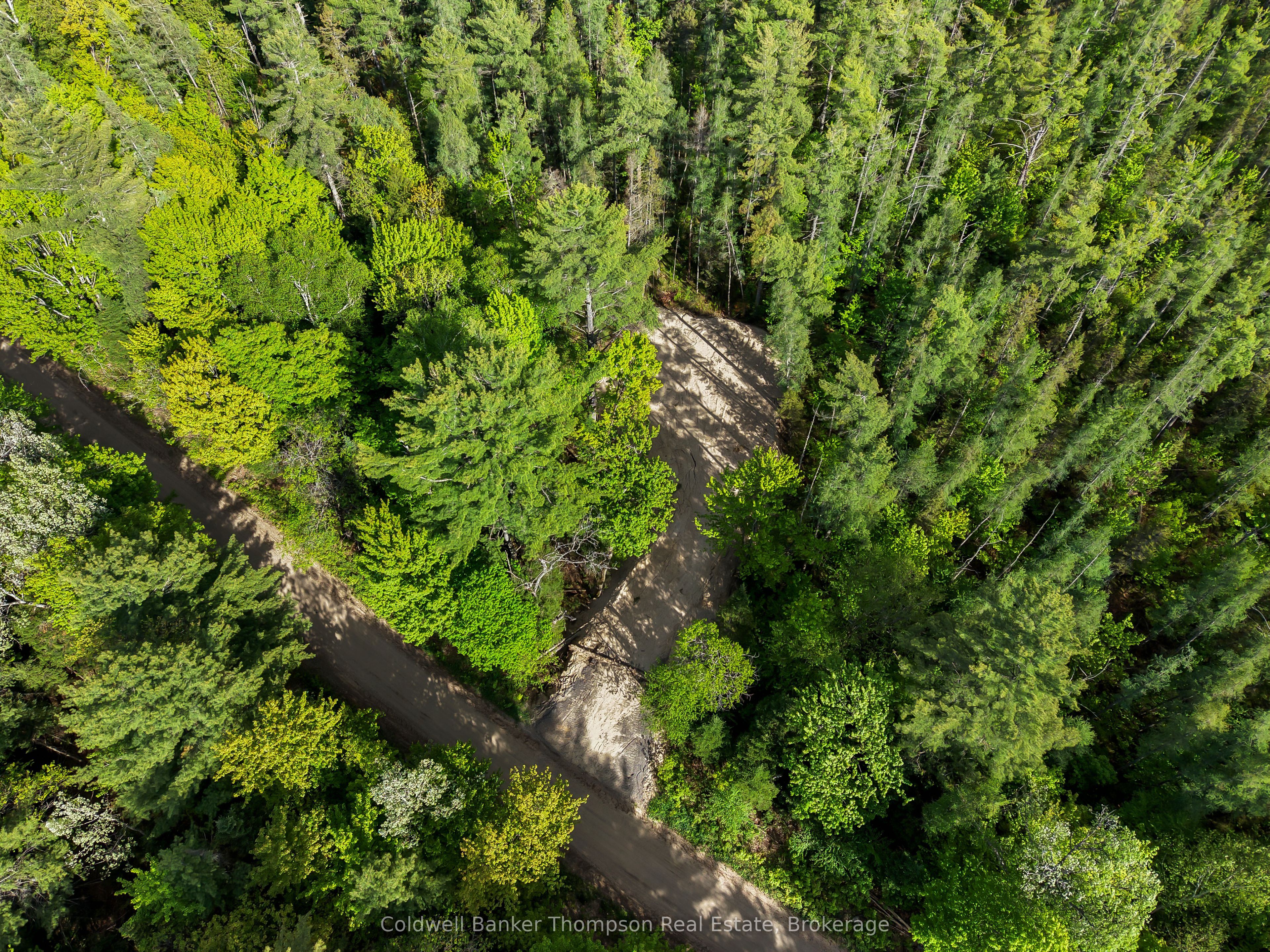 PART 6 AXE LAKE Road, McMurrich/Monteith, ON P0A 1Y0 photo 5