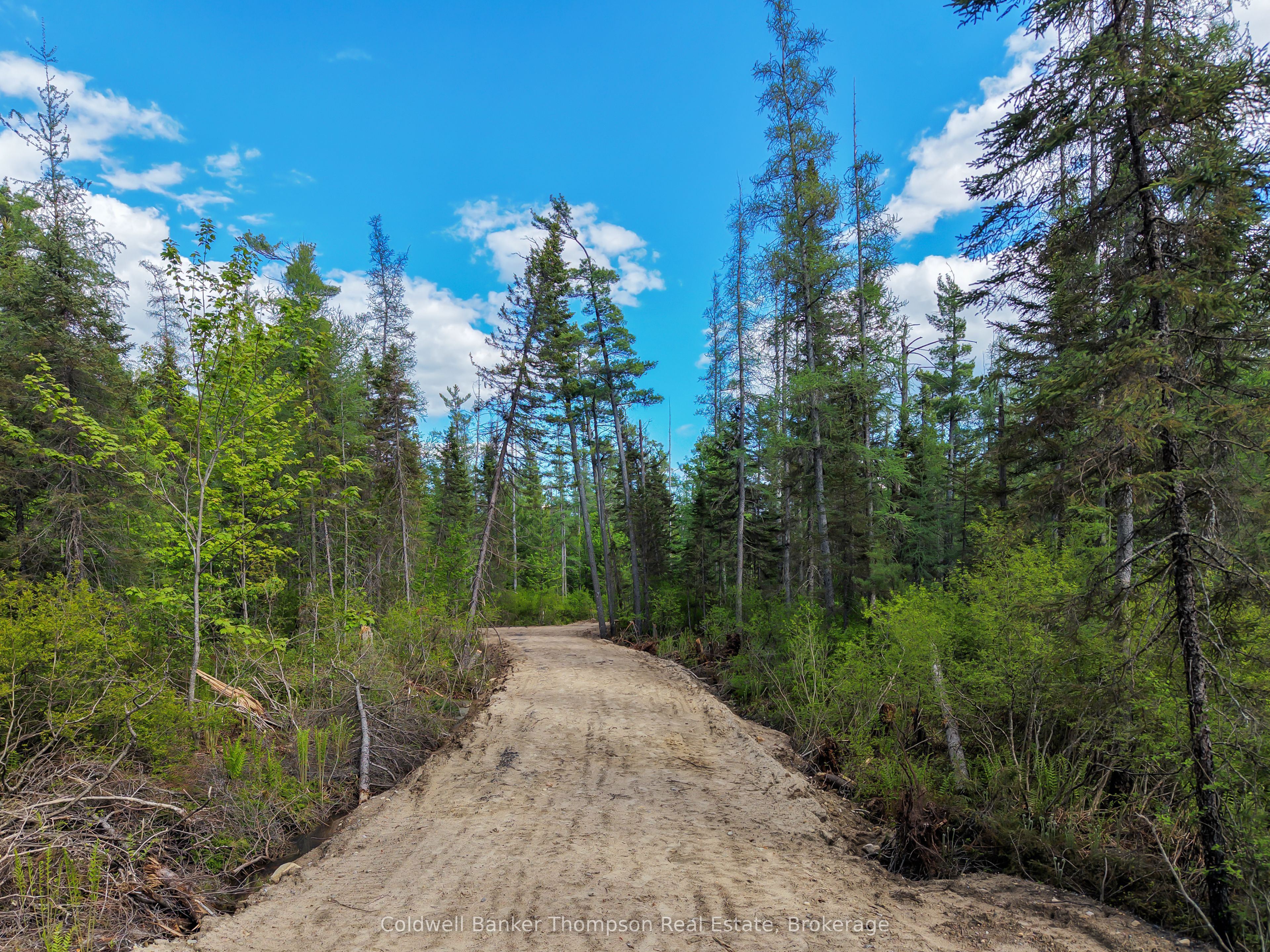 Part 5 AXE LAKE Road, McMurrich/Monteith, ON P0A 1Y0 photo 4