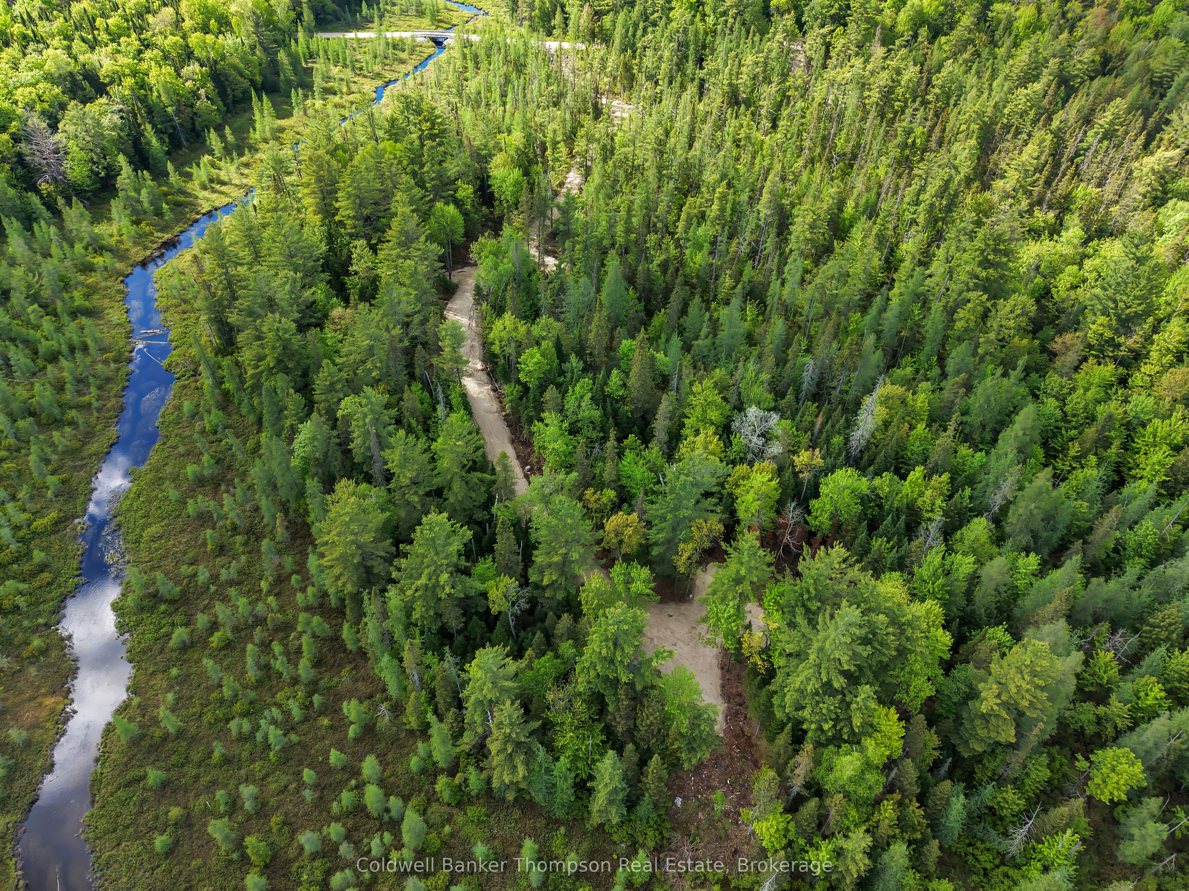 Part 5 AXE LAKE Road, McMurrich/Monteith, ON P0A 1Y0 photo 5