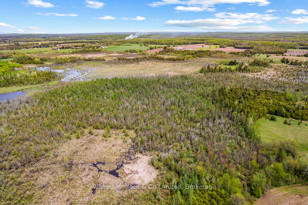 135220 Concession Road 8 Road, Chatsworth, ON N0H 1K0 photo 4