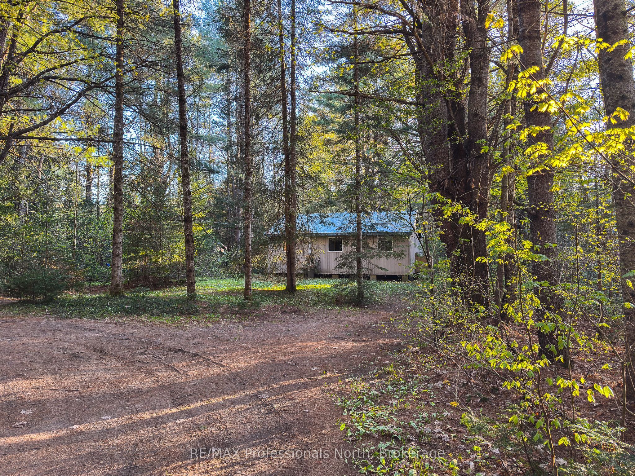 1063 Forrester Trail N, Bracebridge, ON P1L 1W9 photo 5