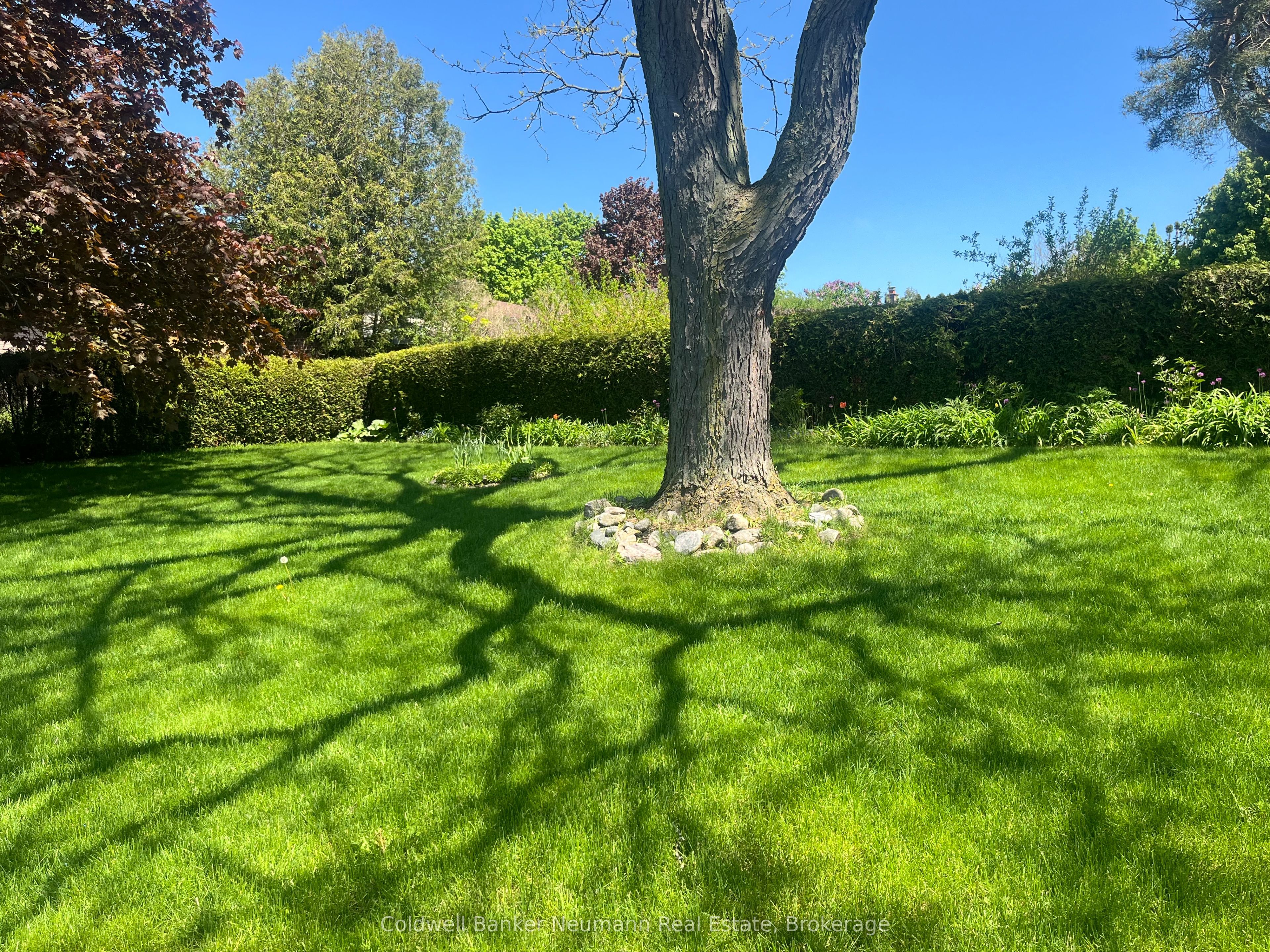 18 Carmine Place, Guelph, ON N1E 3V1 photo 5