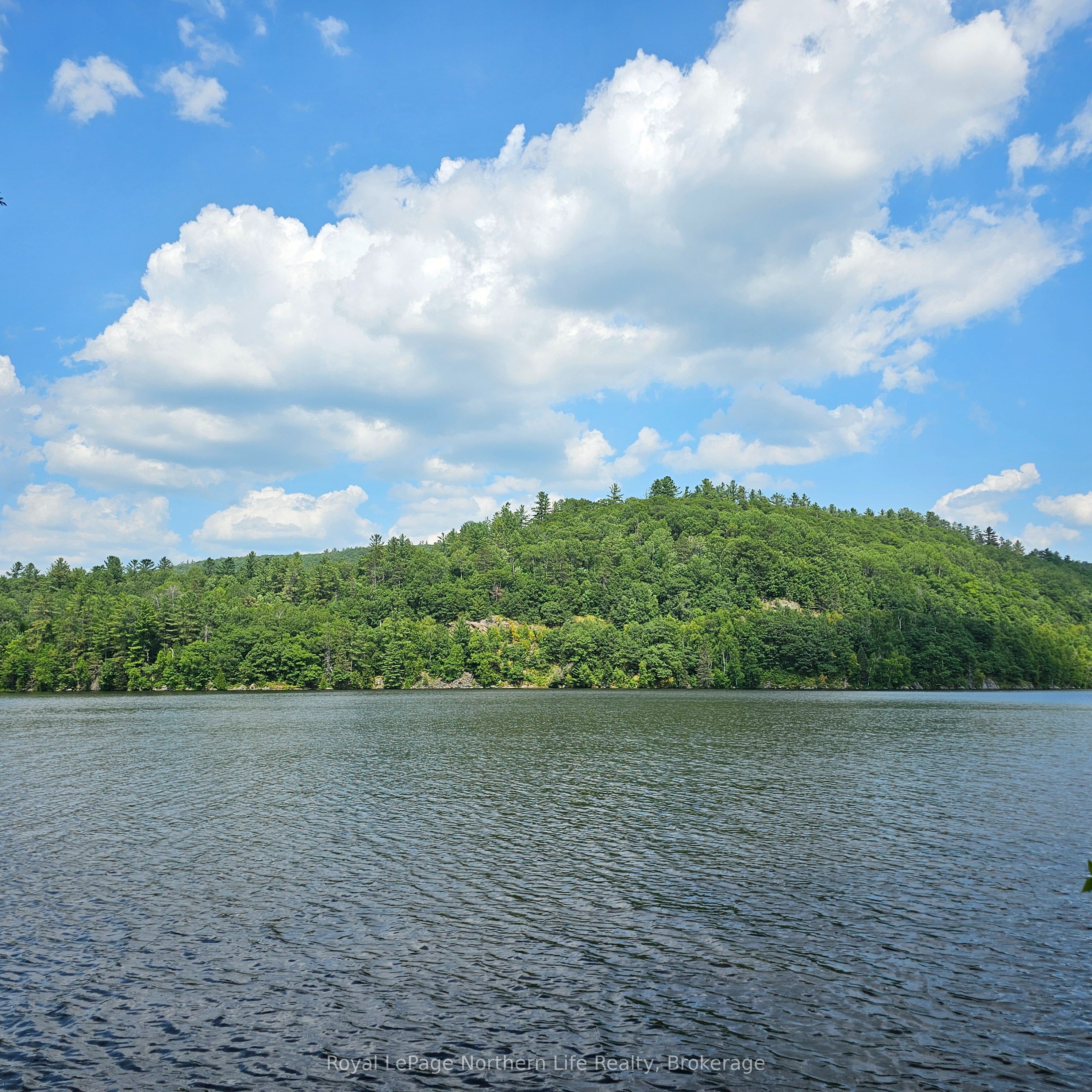 1261 SNAKE CREEK Road, Mattawan, ON P0H 1V0 photo 5