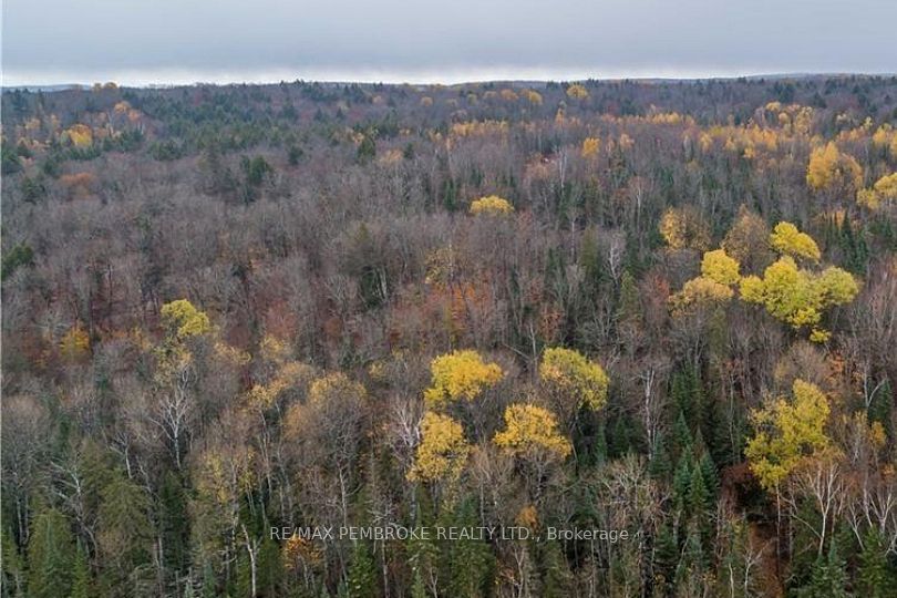 27681 Highway 60 Highway, South Algonquin, ON K0J 2M0