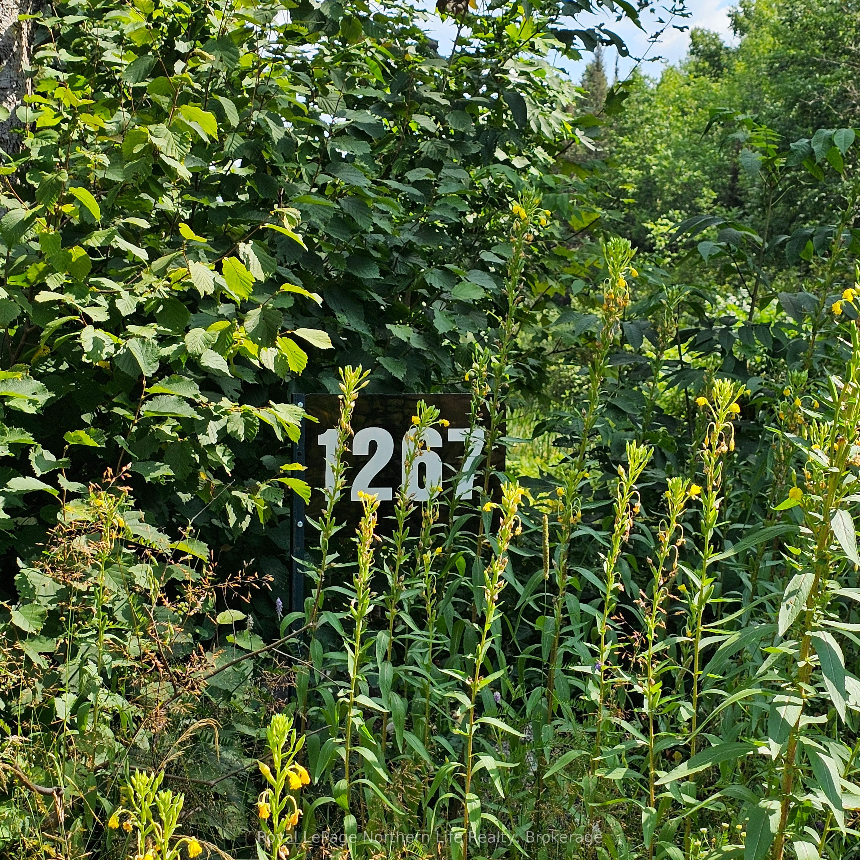 1267 SNAKE CREEK Road, Mattawan, ON P0H 1V0