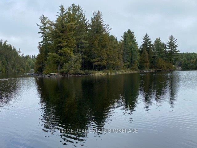 0 Strathcona Island, Temagami, ON P0H 2H0 photo 4