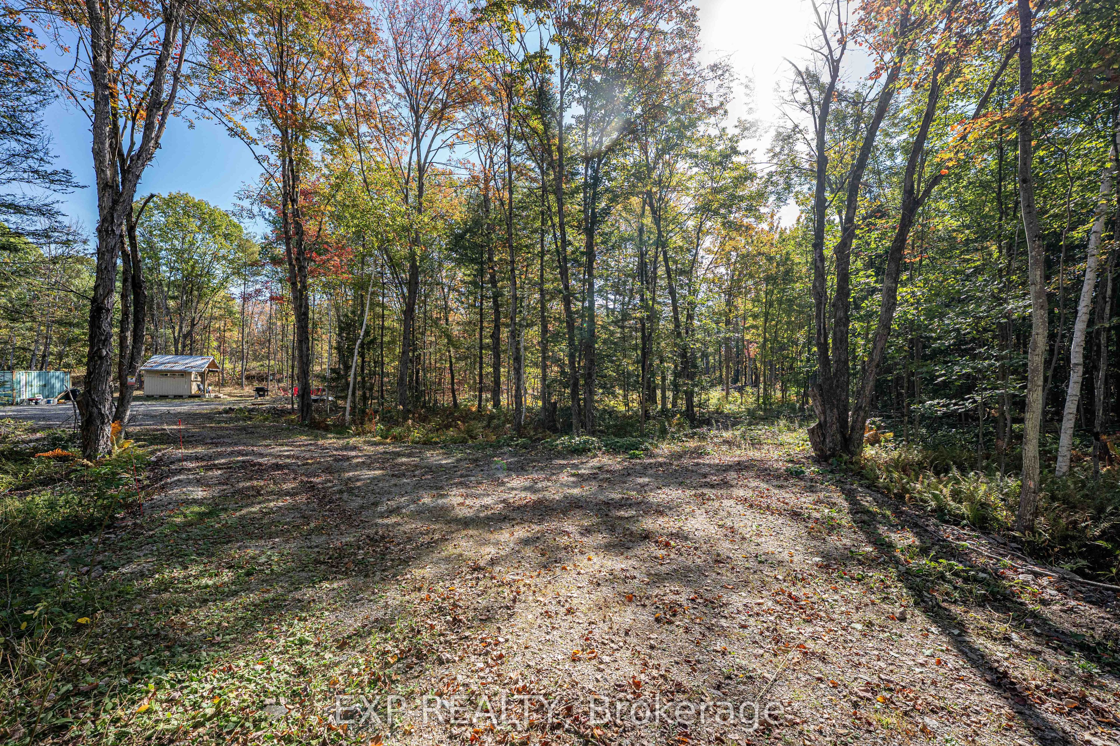 3124 Southwood Road, Gravenhurst, ON P0E 1G0 photo 4