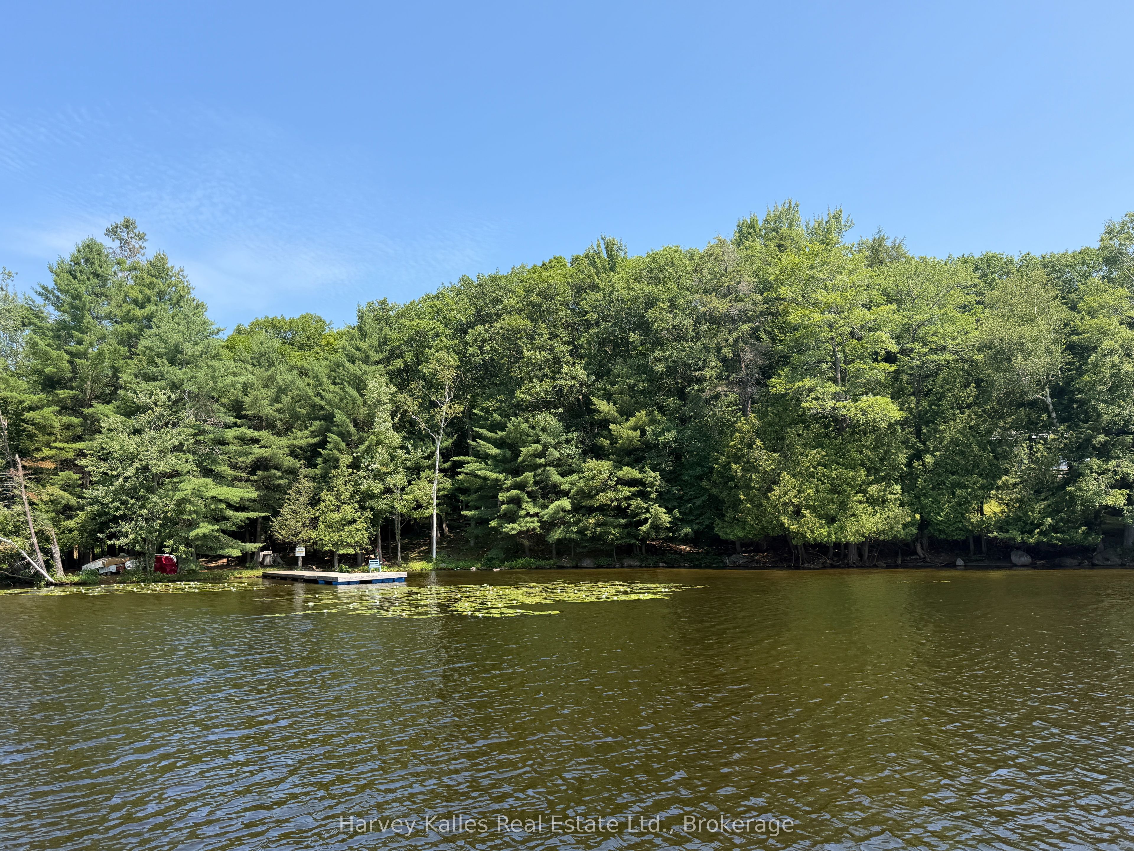 1254 Barlochan Road 4, Muskoka Lakes, ON P1P 1R2 photo 2