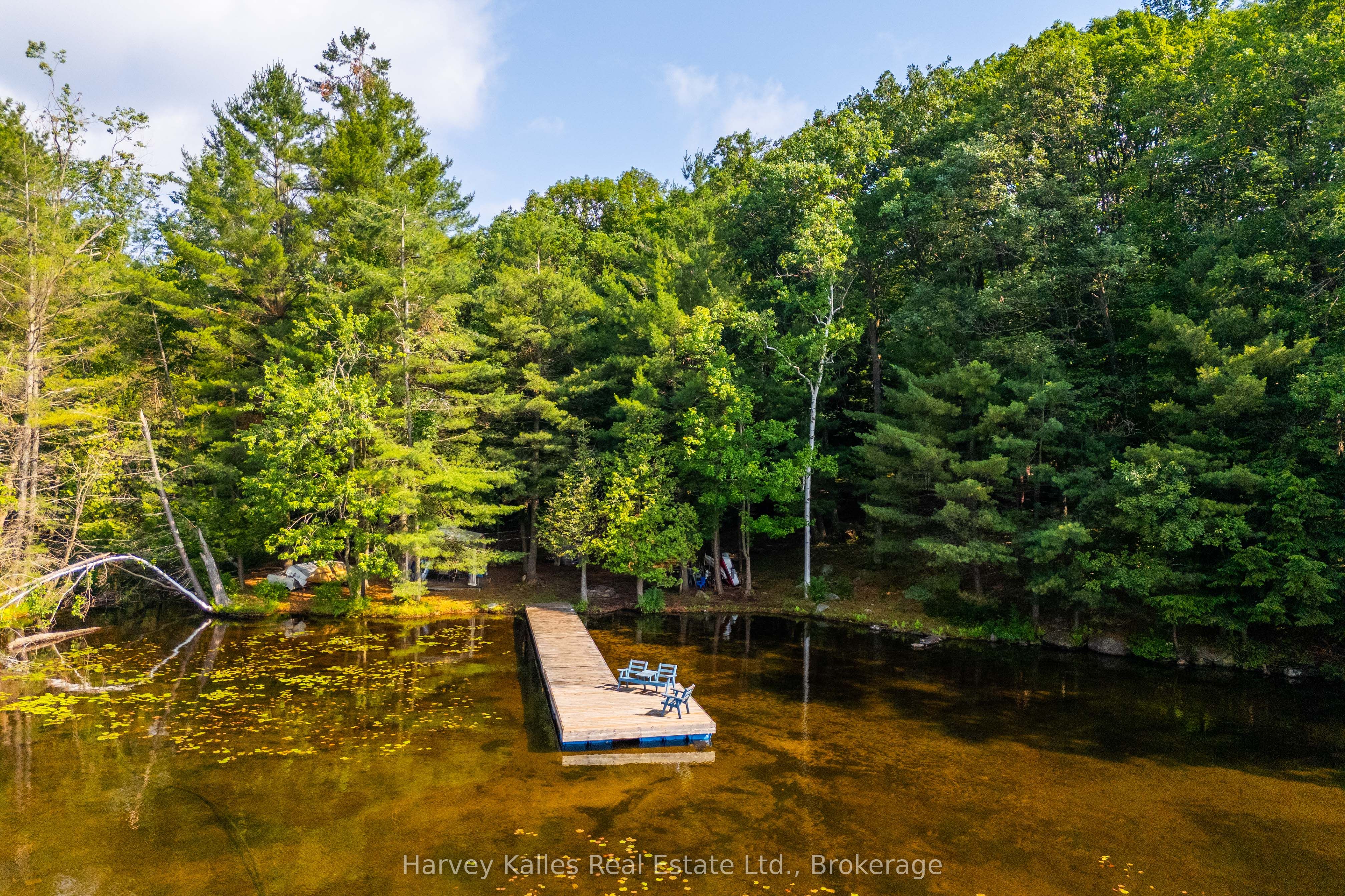 1254 Barlochan Road 4, Muskoka Lakes, ON P1P 1R2 photo 3
