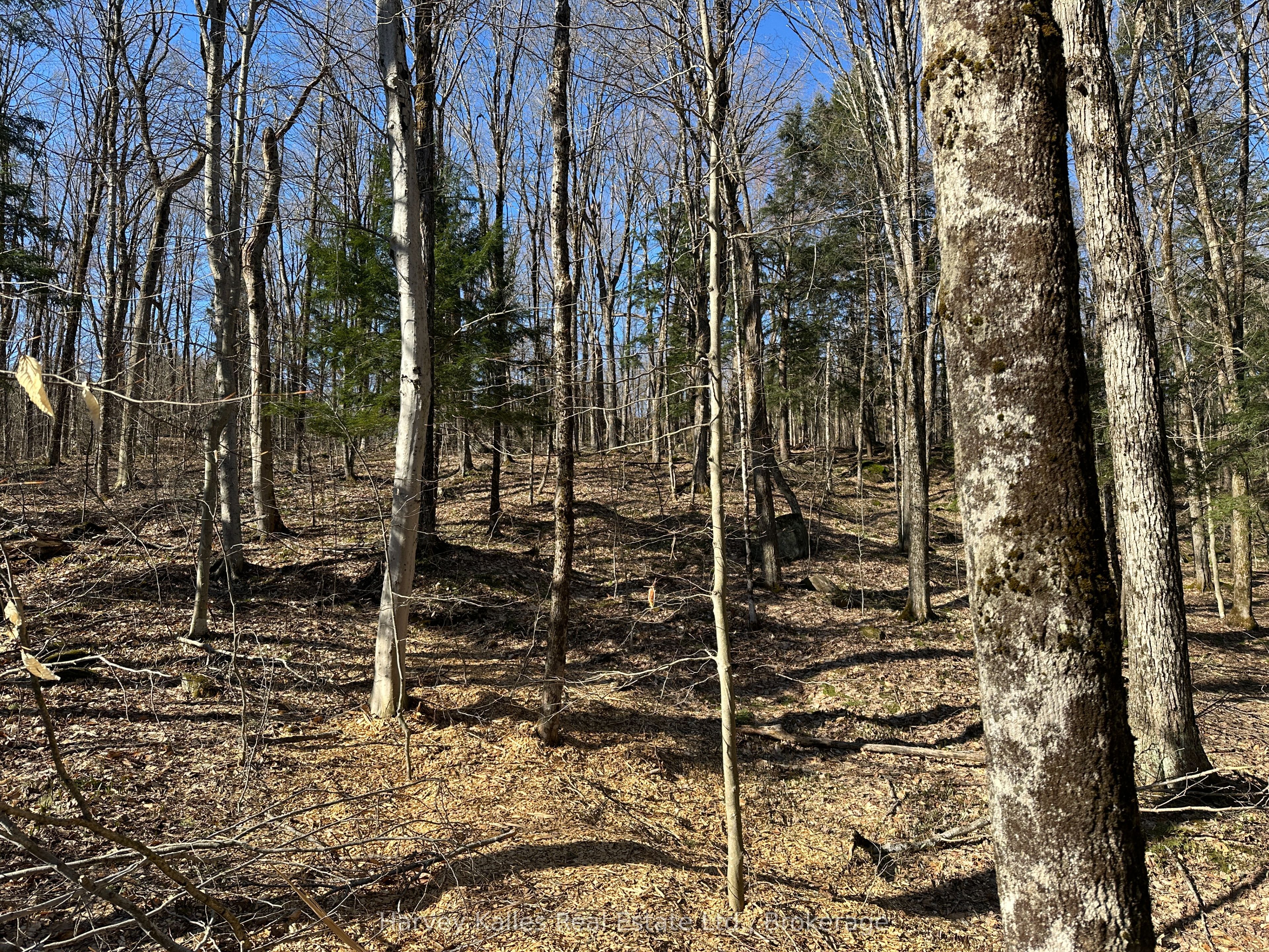 CON 1 PT LOT 12 Barlochan Road, Muskoka Lakes, ON P1P 1R2