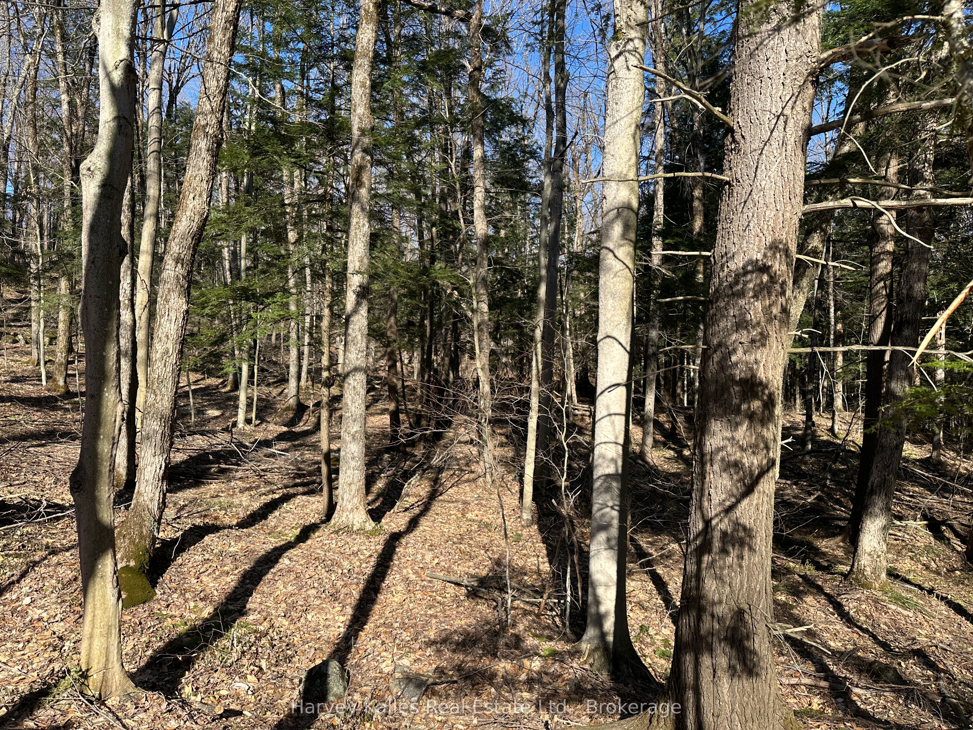 CON 1 PT LOT 12 Barlochan Road, Muskoka Lakes, ON P1P 1R2 photo 2