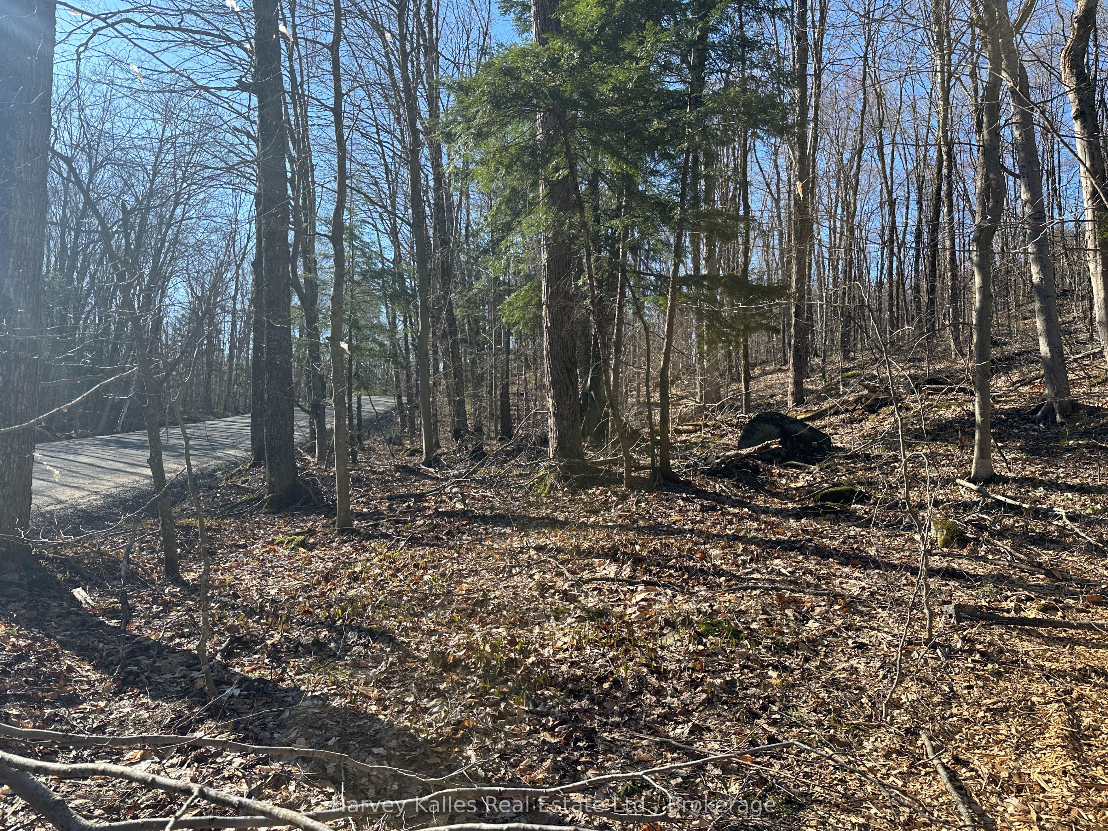 CON 1 PT LOT 12 Barlochan Road, Muskoka Lakes, ON P1P 1R2 photo 3