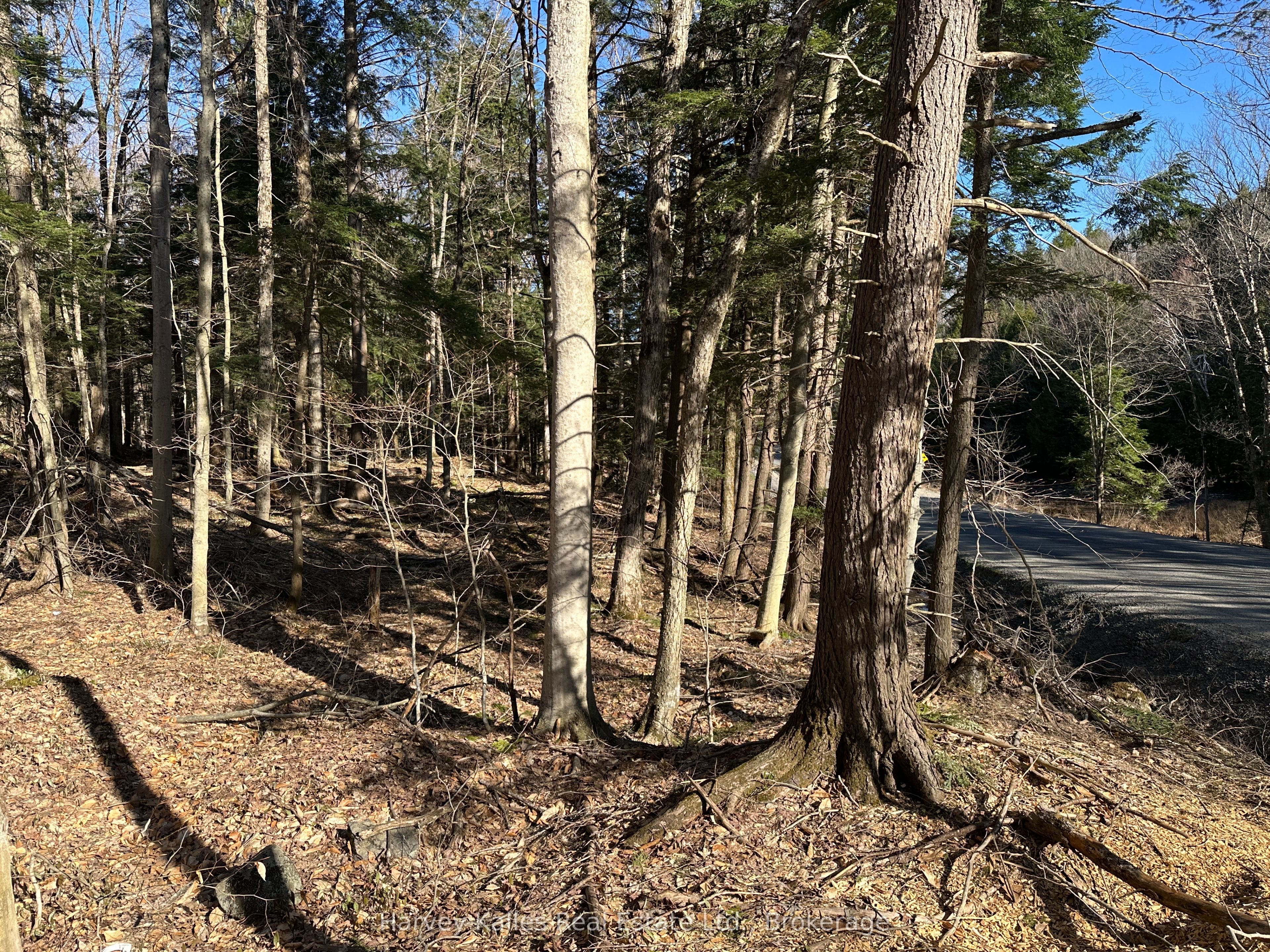 CON 1 PT LOT 12 Barlochan Road, Muskoka Lakes, ON P1P 1R2 photo 4
