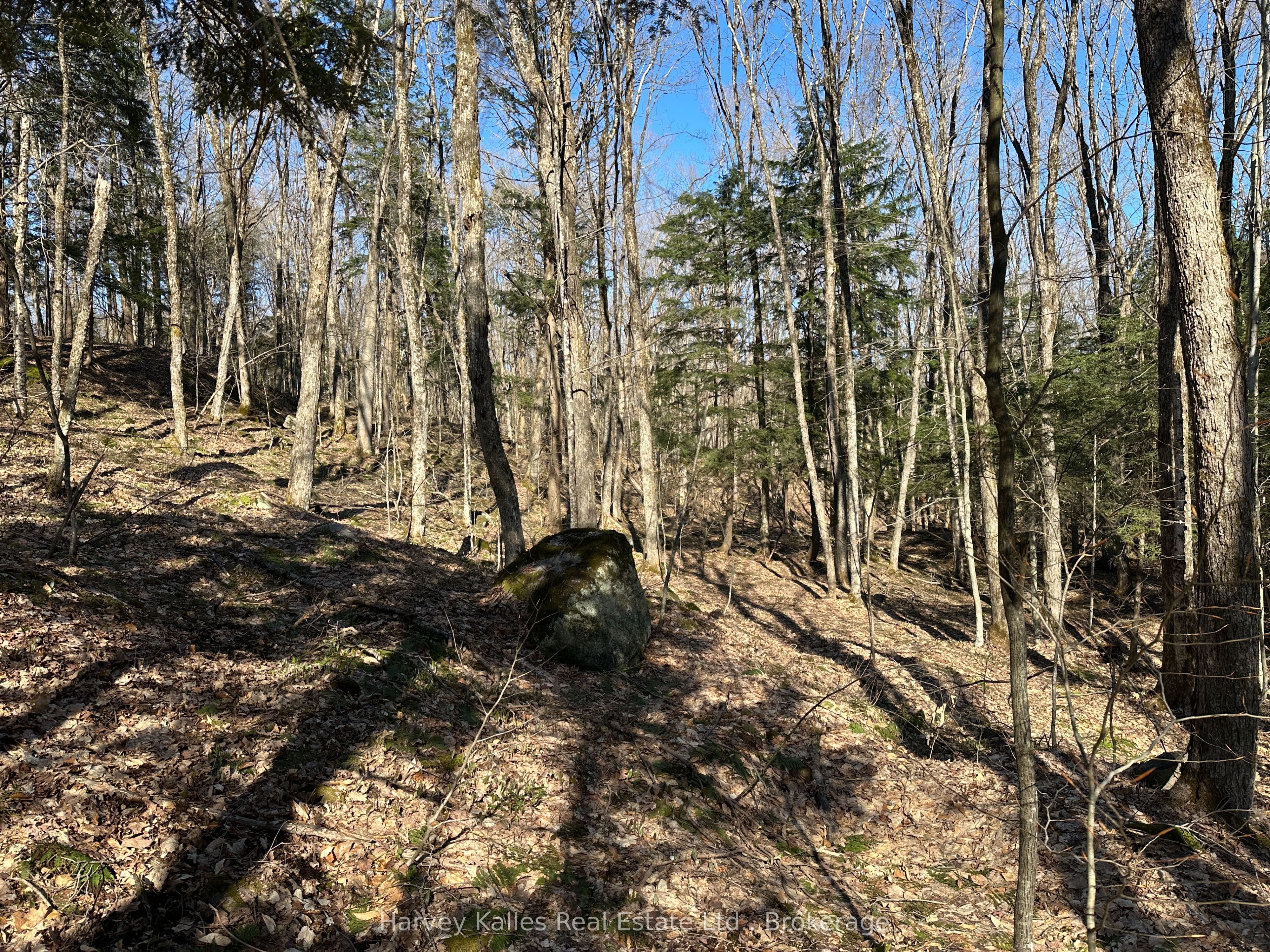 CON 1 PT LOT 12 Barlochan Road, Muskoka Lakes, ON P1P 1R2 photo 5