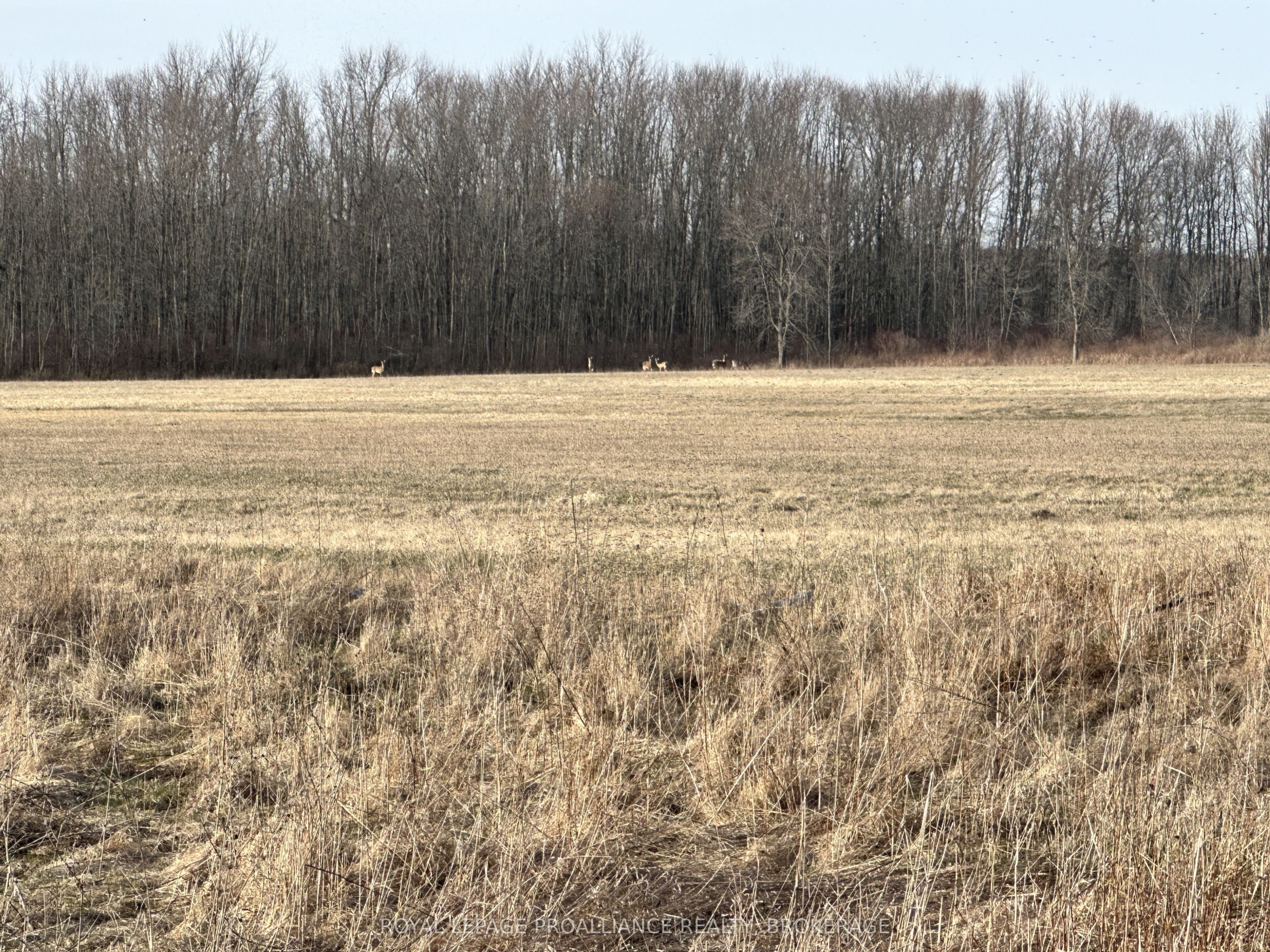 68 3rd Concession Road, Loyalist, ON K0H 2S0 photo 2