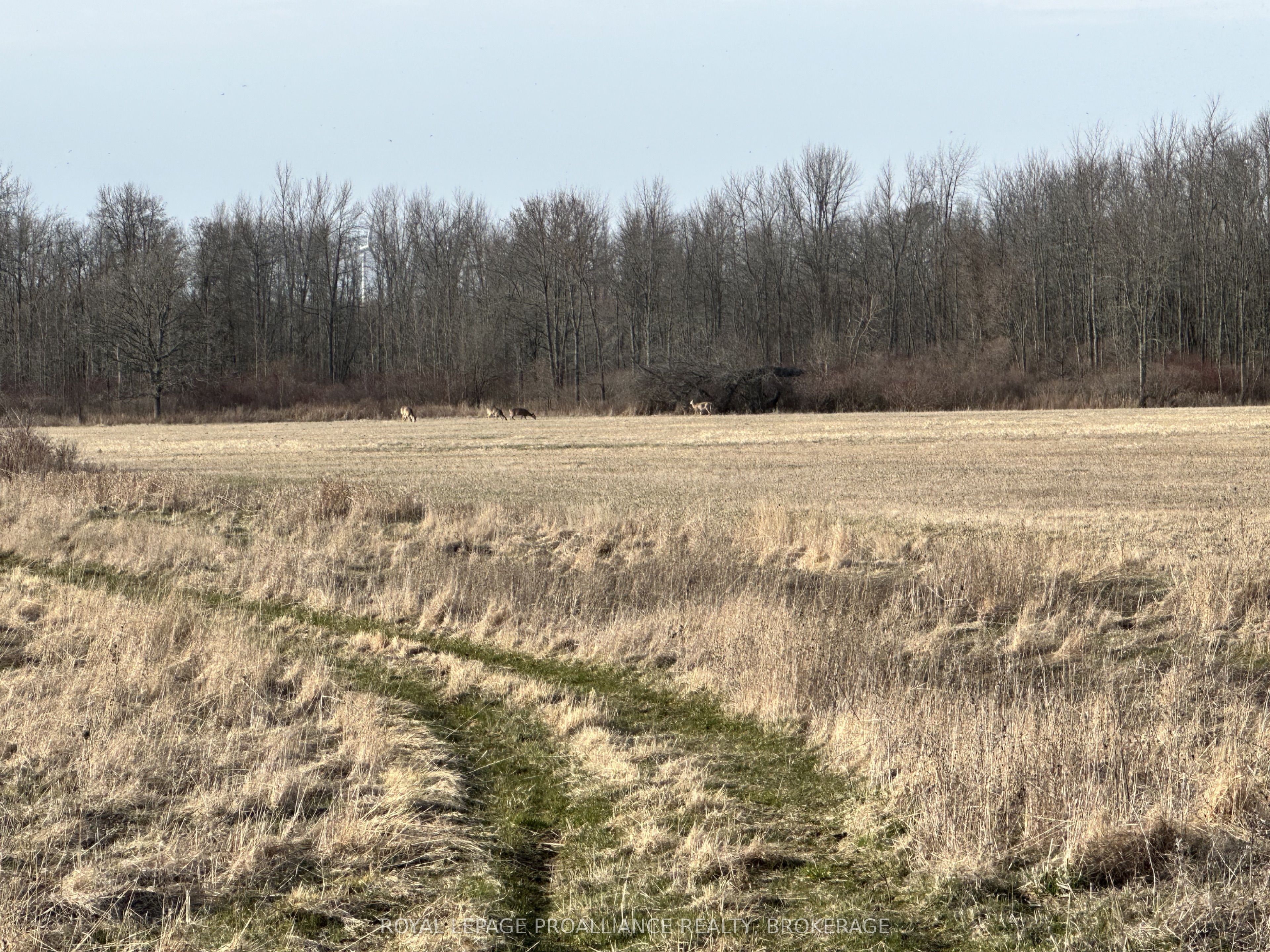 68 3rd Concession Road, Loyalist, ON K0H 2S0 photo 3