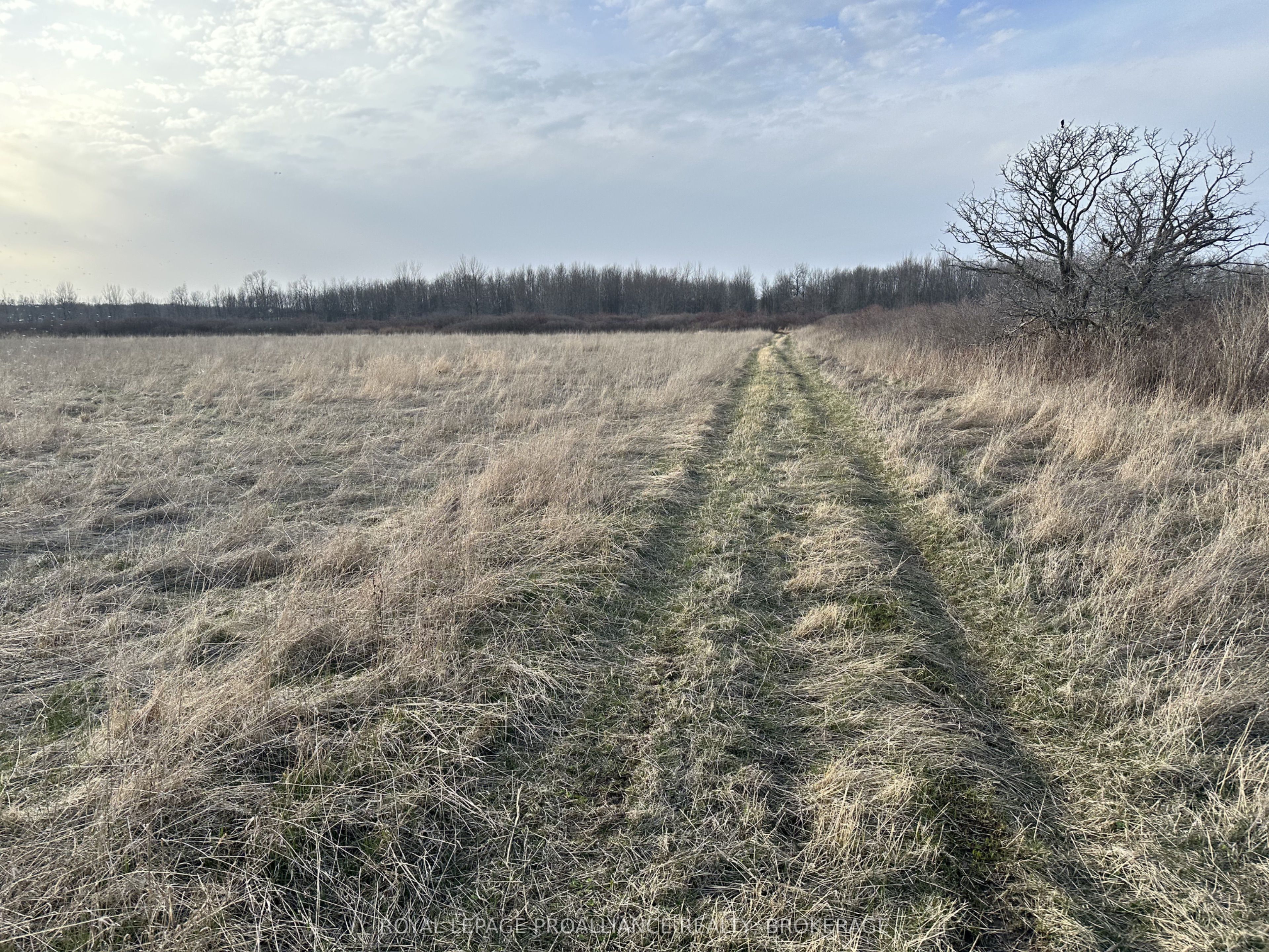 68 3rd Concession Road, Loyalist, ON K0H 2S0 photo 5
