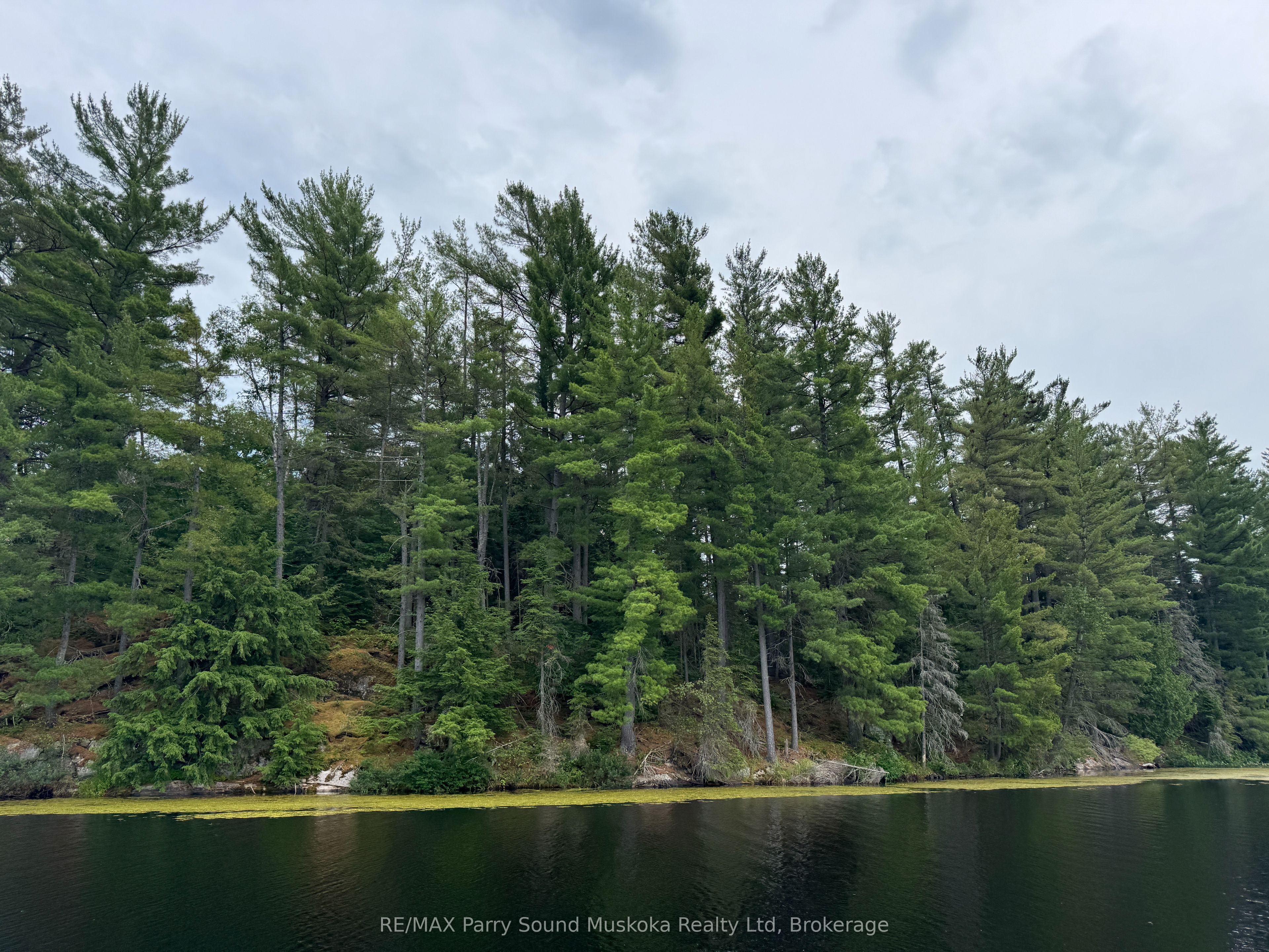 2 Wolf River, Parry Sound Remote Area, ON P0H 1S0 photo 5
