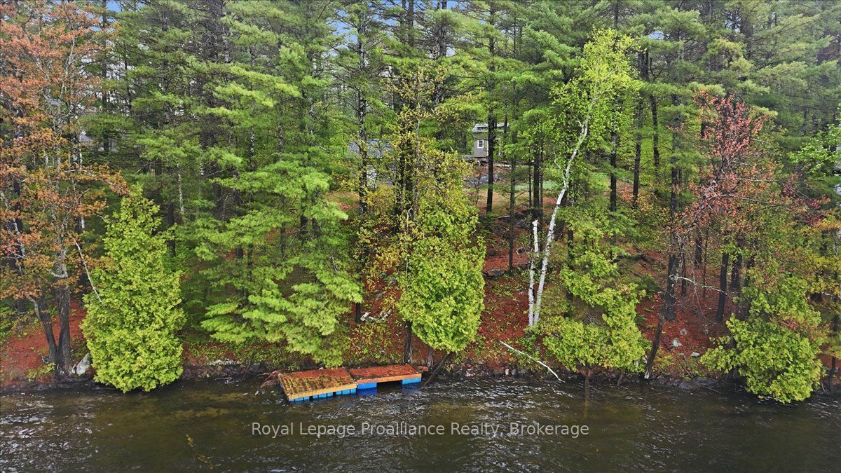 1419 Turtle Lake Lane, Frontenac, ON K0H 2M0