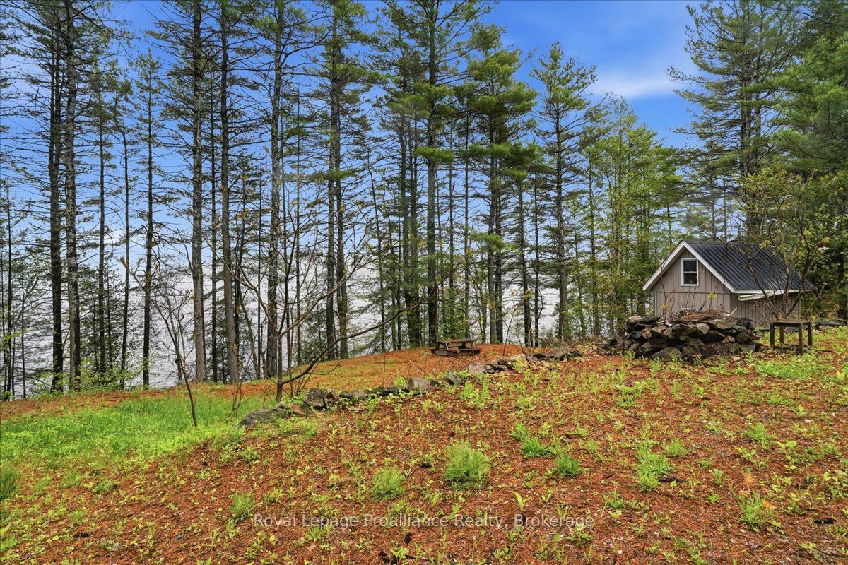 1419 Turtle Lake Lane, Frontenac, ON K0H 2M0 photo 5