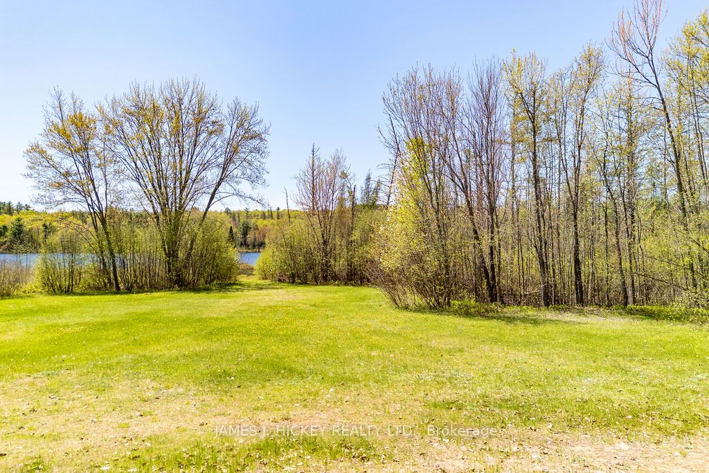 0 Corry Lake Road, Laurentian Hills, ON K0J 1J0 photo 3