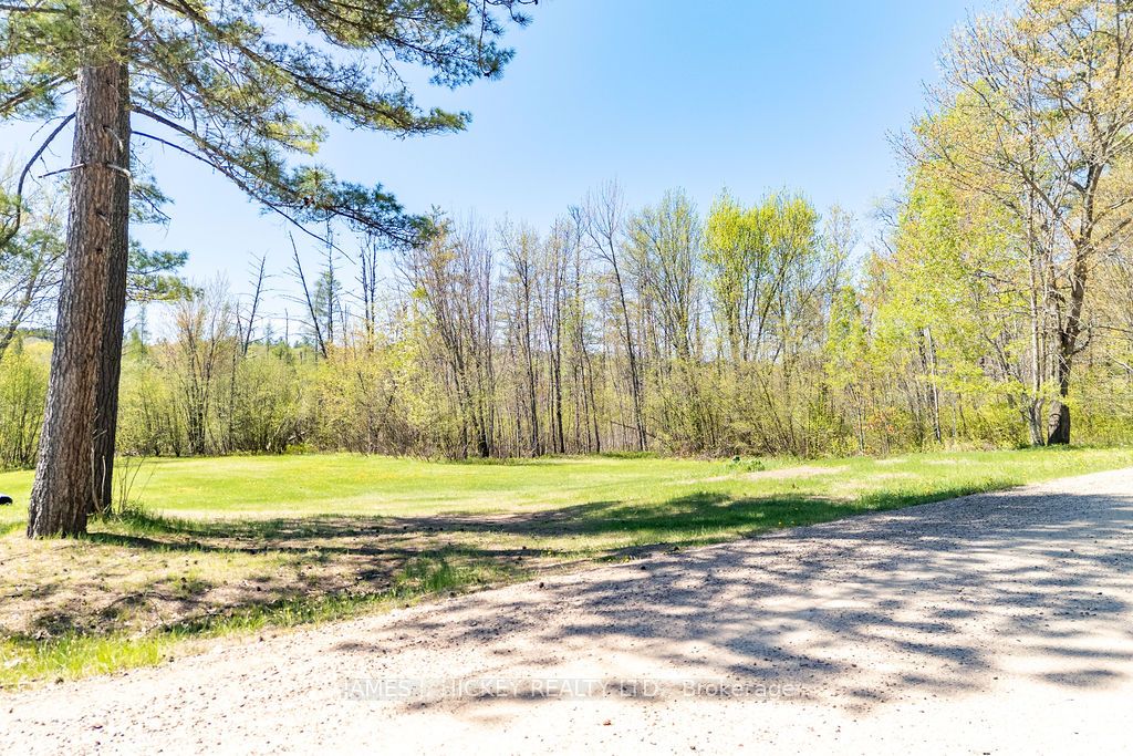 0 Corry Lake Road, Laurentian Hills, ON K0J 1J0 photo 5