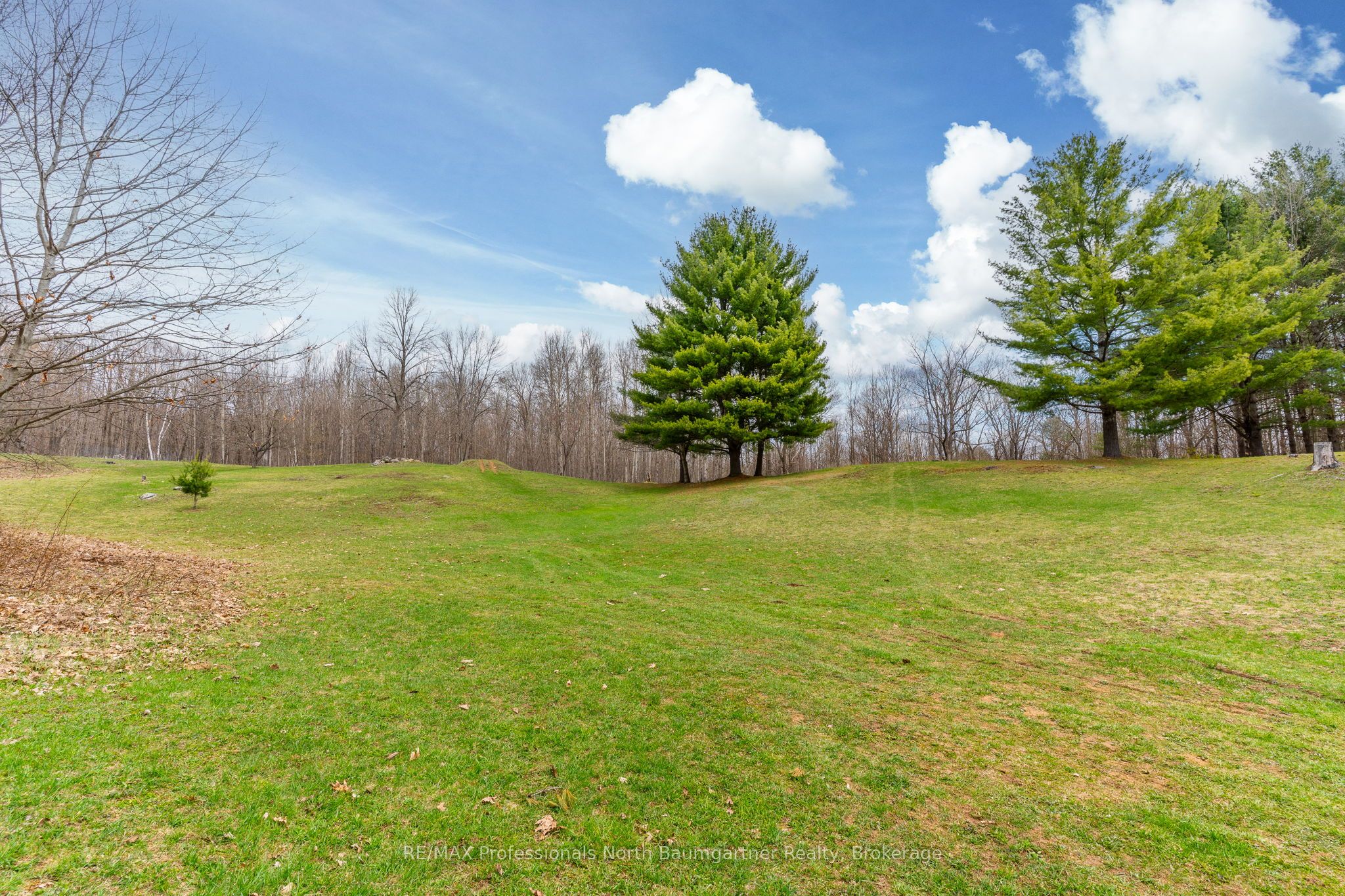 1093 Reynolds Road, Minden Hills, ON K0M 2K0 photo 4