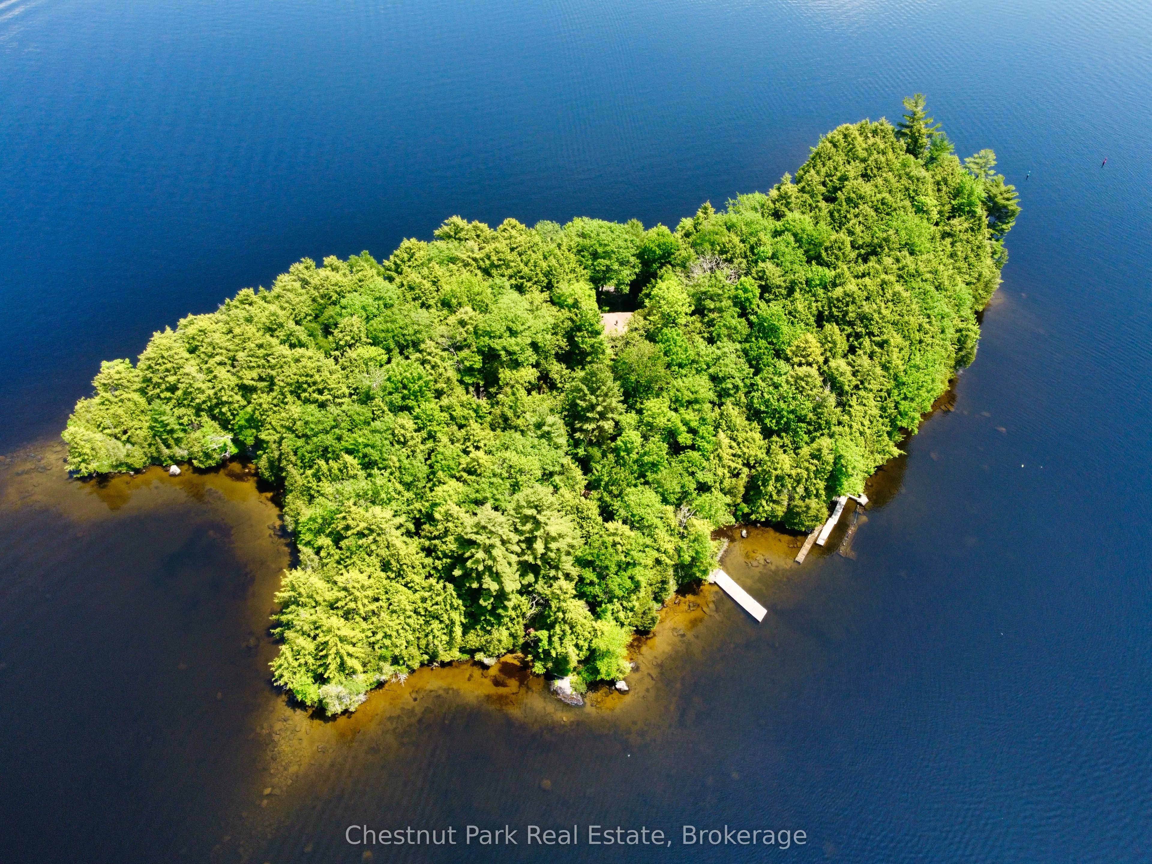 1 Cedar Island N/A, Muskoka Lakes, ON P0B 1J0