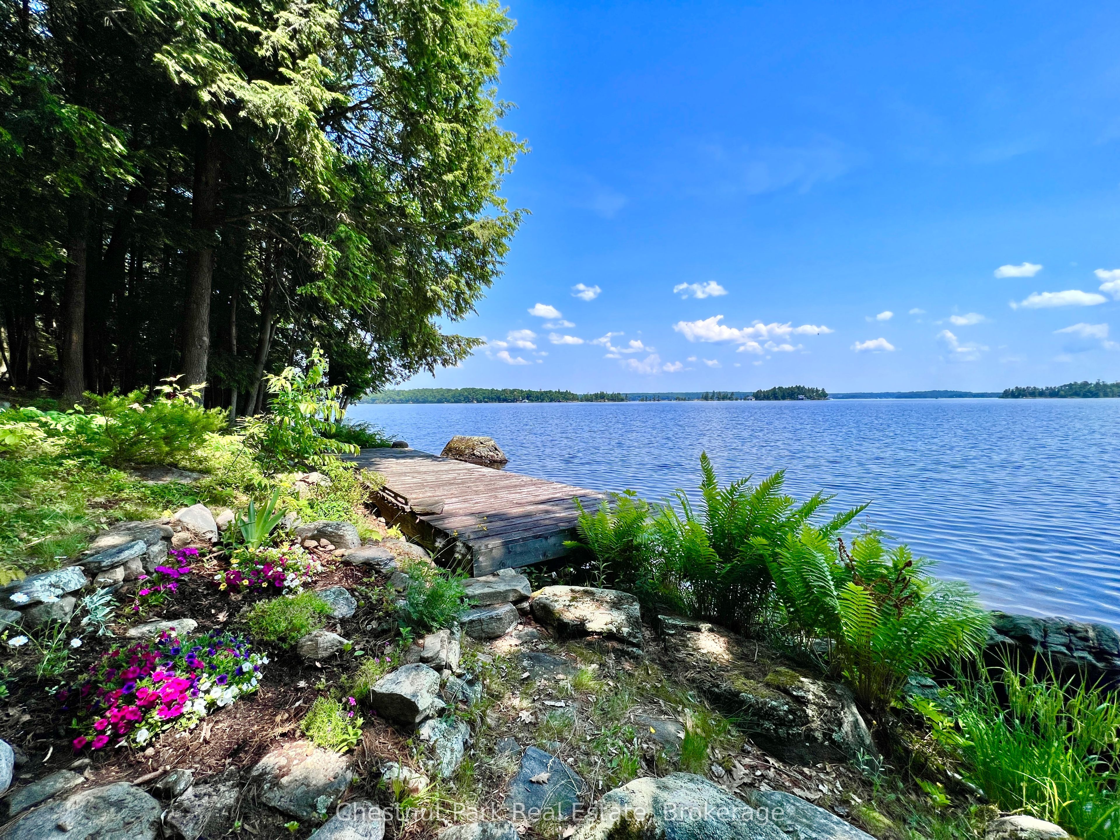 1 Cedar Island N/A, Muskoka Lakes, ON P0B 1J0 photo 2