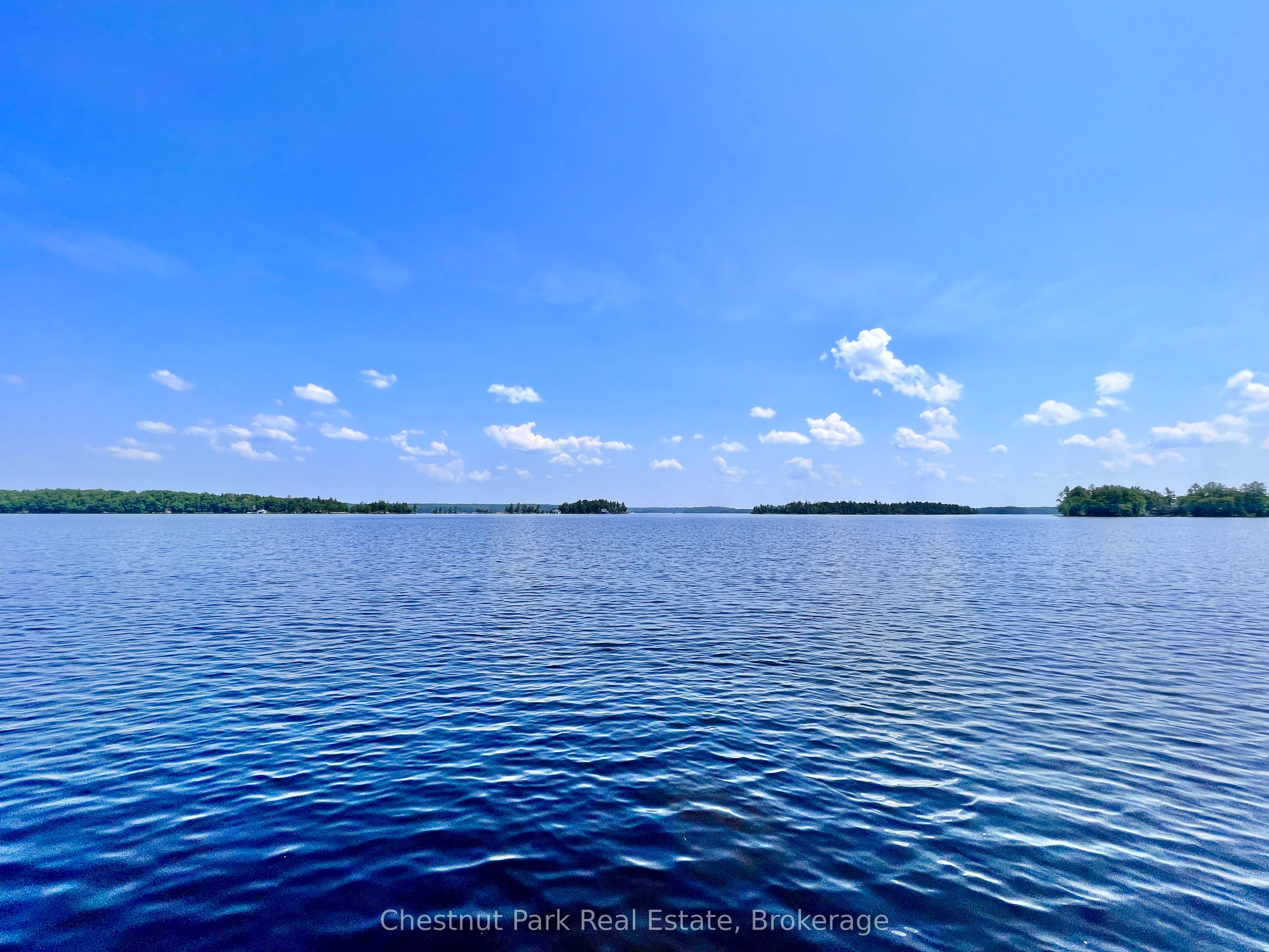 1 Cedar Island N/A, Muskoka Lakes, ON P0B 1J0 photo 4