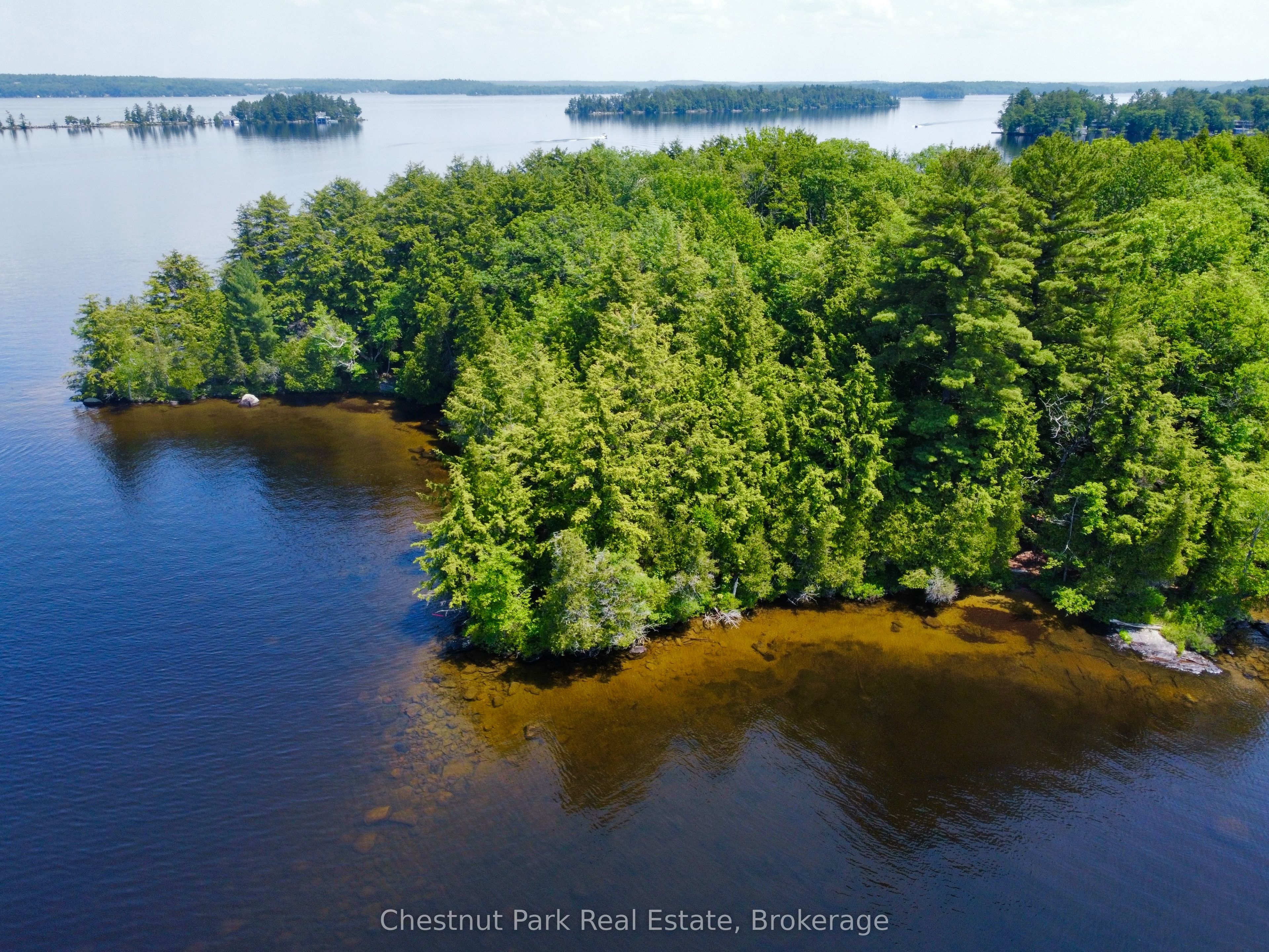 1 Cedar Island N/A, Muskoka Lakes, ON P0B 1J0 photo 5