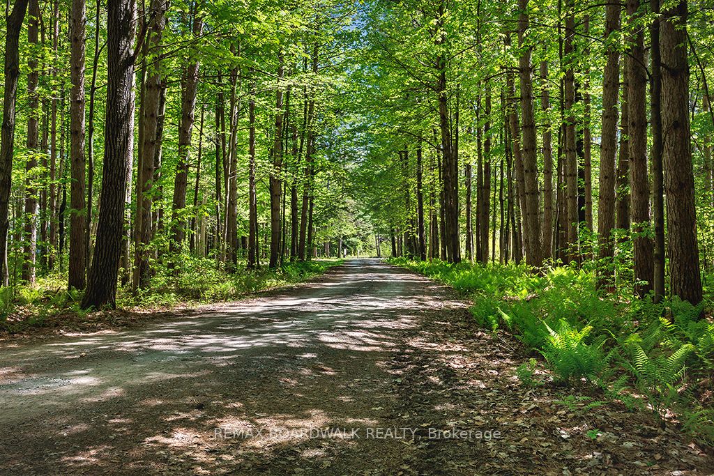 1439 Lacroix Road, Clarence-Rockland, ON K0A 2A0 photo 5