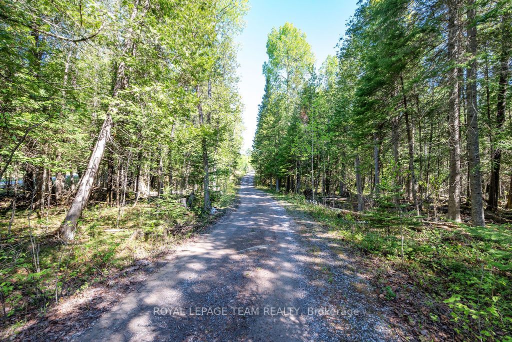 41 Harrison Trail, Greater Madawaska, ON K0J 2R0 photo 3