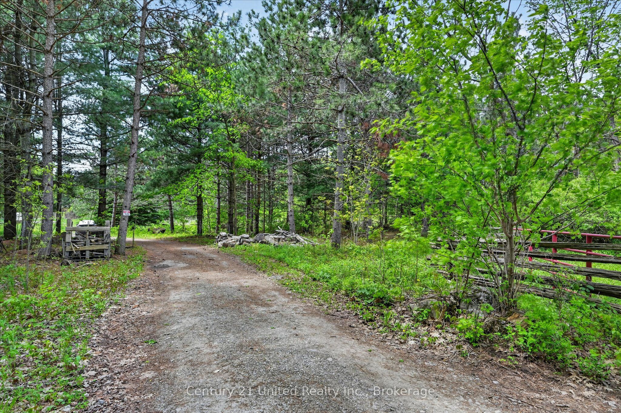 354B Marble Point Road, Marmora and Lake, ON K0K 2M0 photo 5