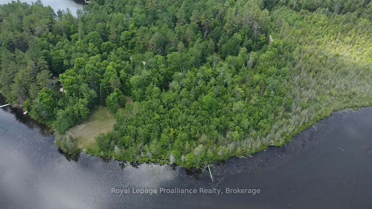 1033 Waterworth Lane, North Frontenac, ON K0H 2M0 photo 5