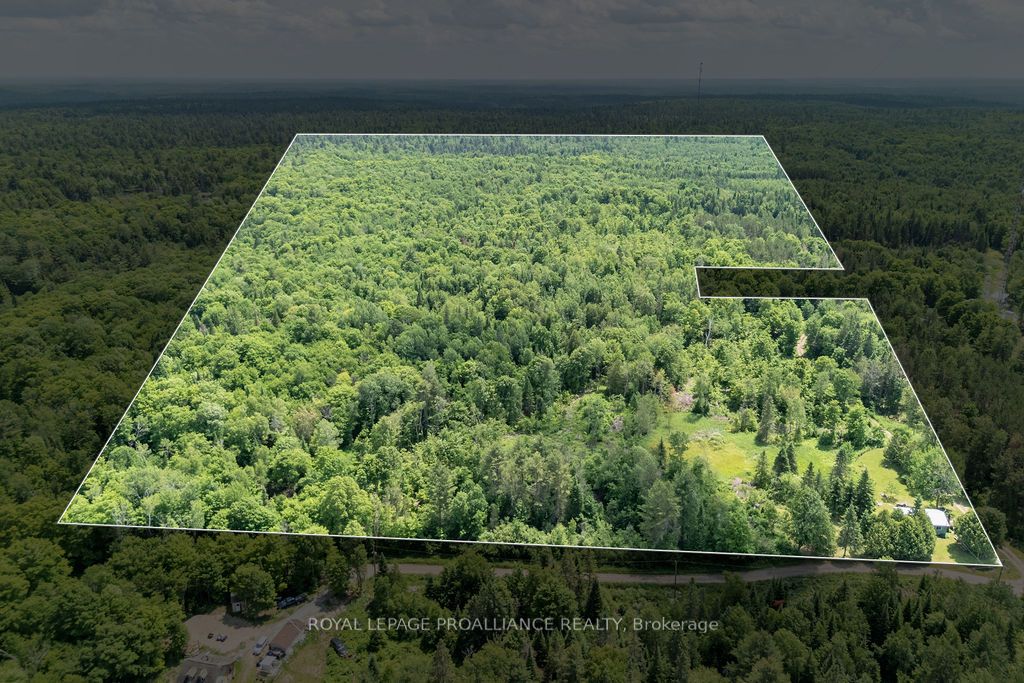 273 Tower Road, Addington Highlands, ON K0H 1K0 photo 2